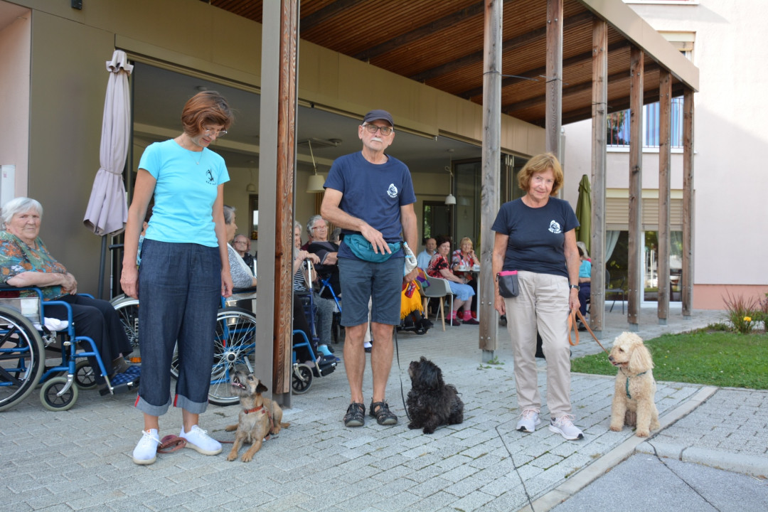 Kosmati smrčki za ljubitelje psov