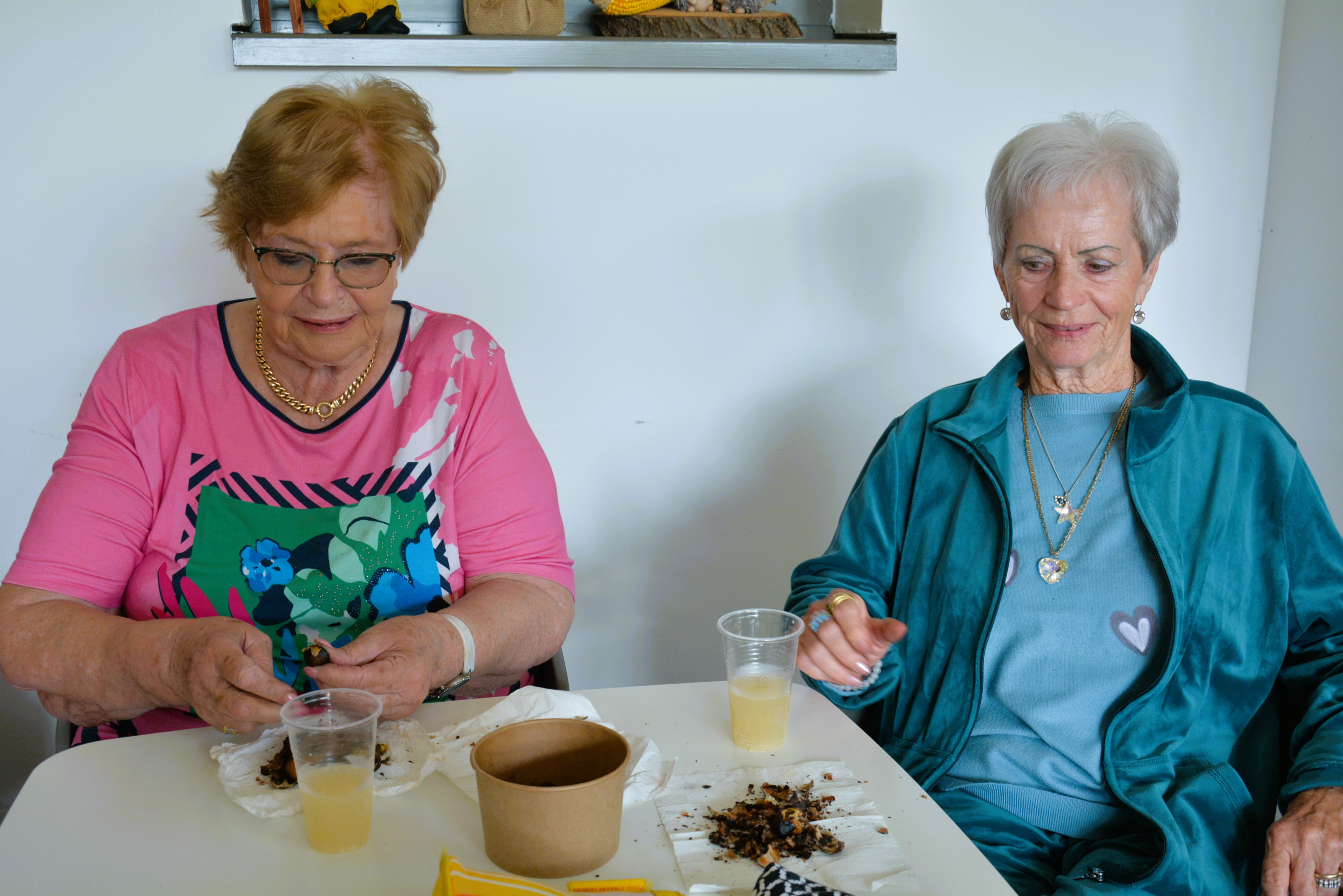 Kostanjev piknik in nastop skupine Freya