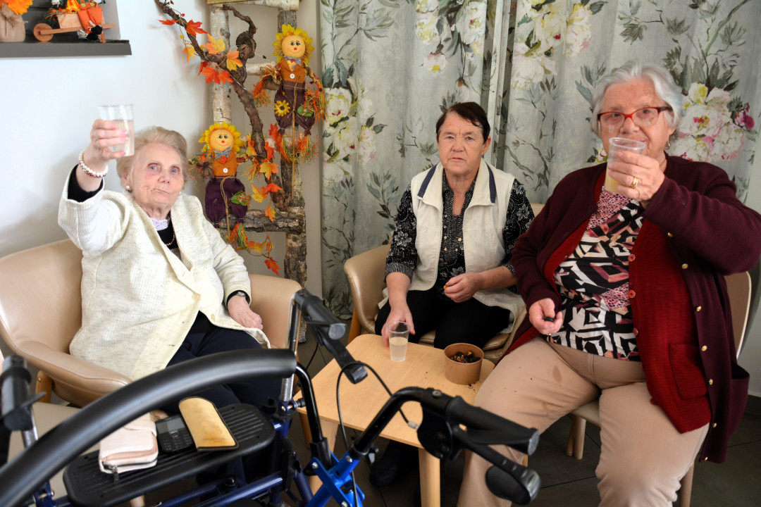 Kostanjev piknik in nastop skupine Freya