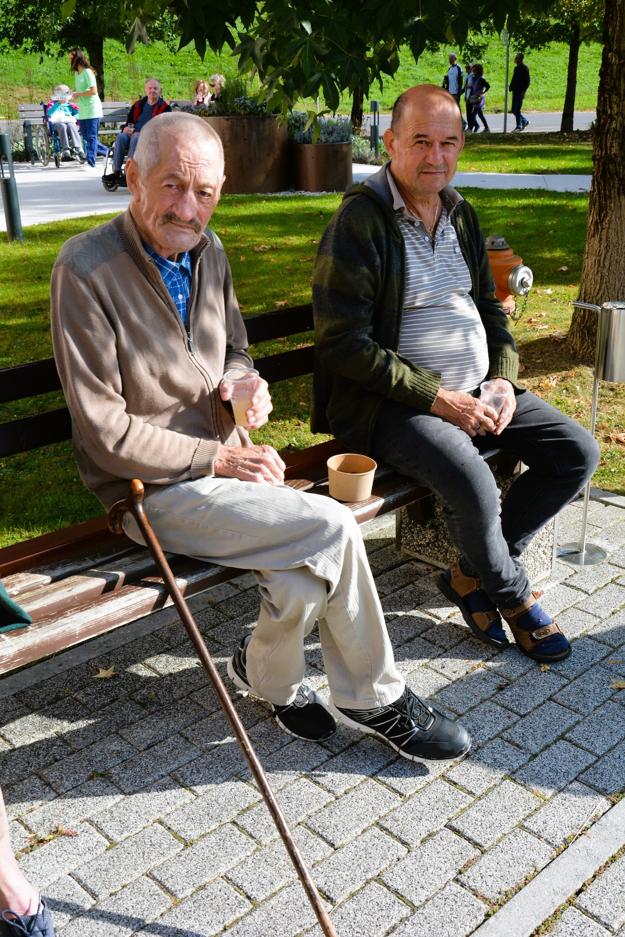 Kostanjev piknik in nastop skupine Freya