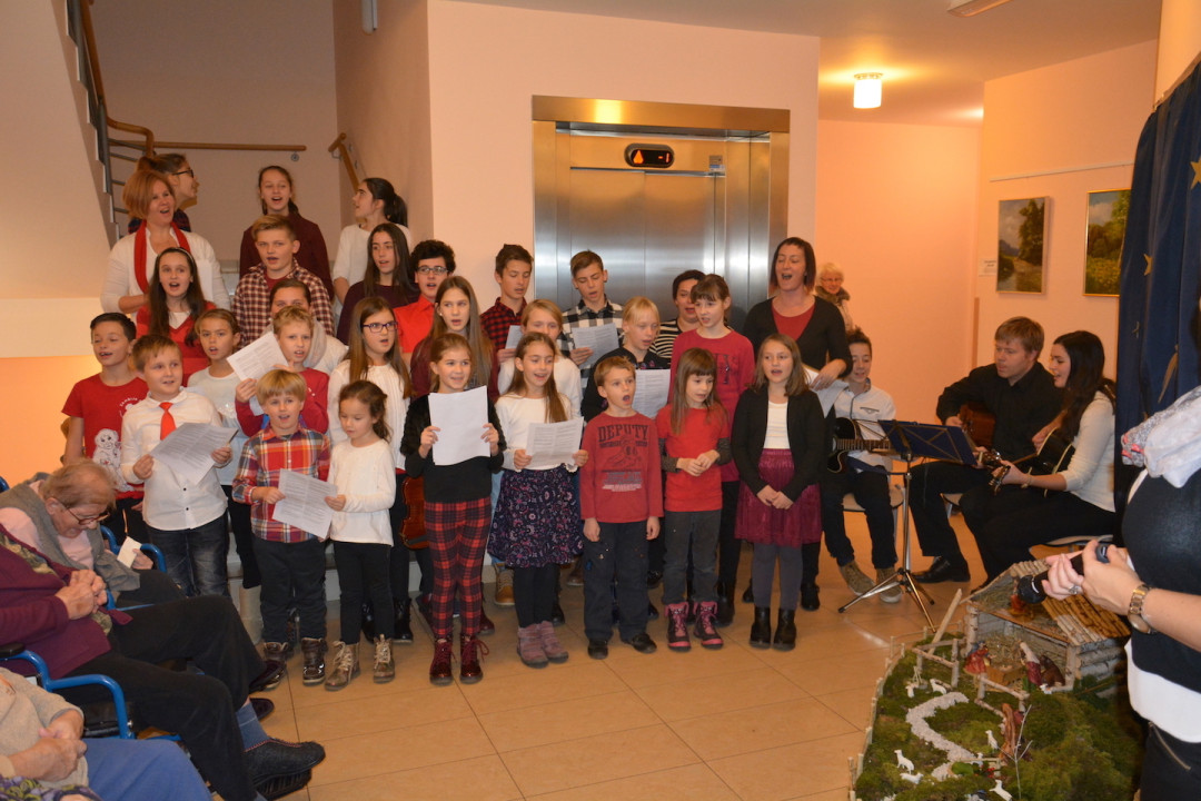 Krasili smo božično drevo