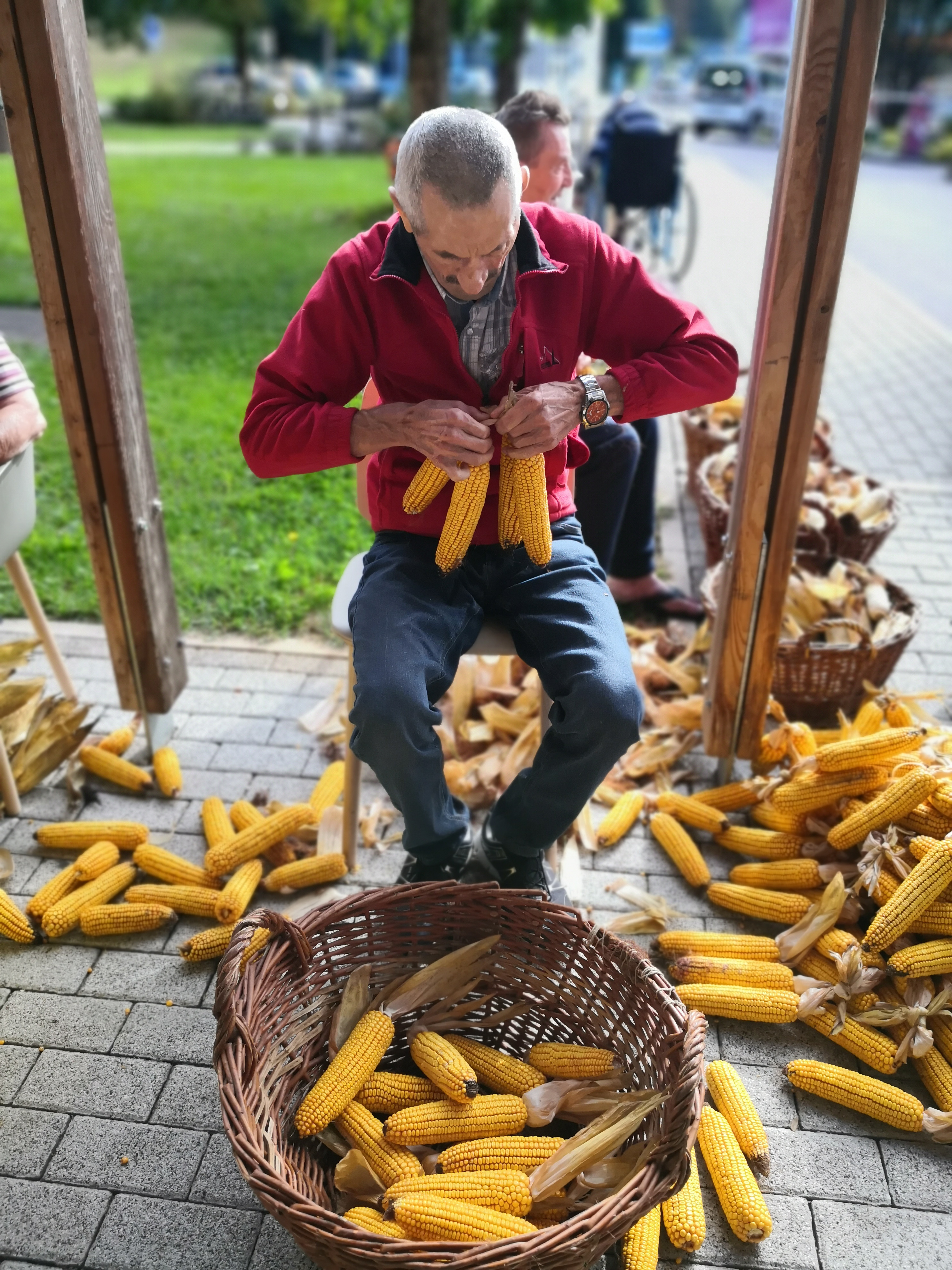 Ličkanje ob harmoniki, pesmi in petju
