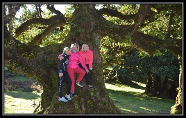 Madeira – eksotični vrt Atlantika