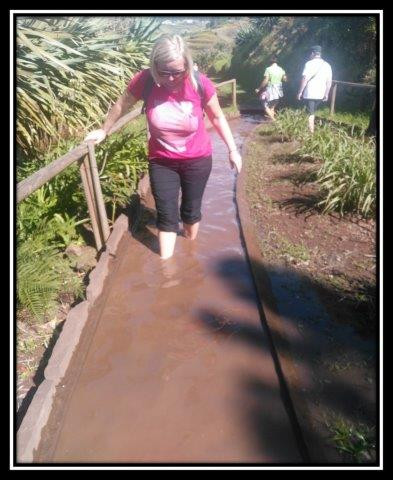 Madeira – eksotični vrt Atlantika