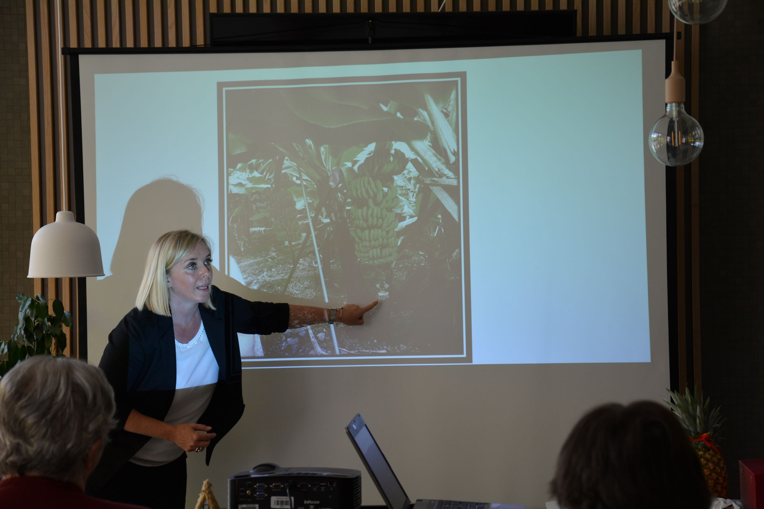 Madeira – eksotični vrt Atlantika