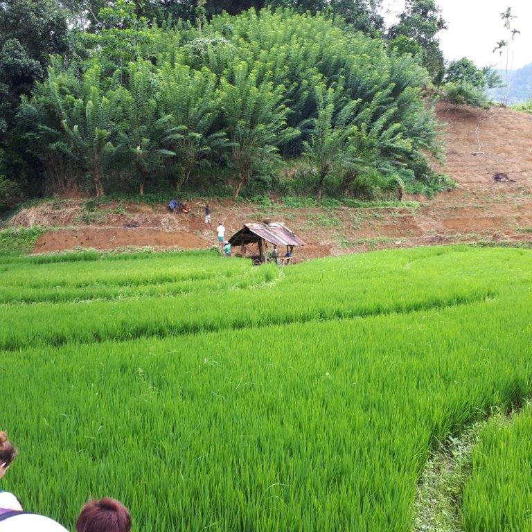 Maldivi in Šri Lanka