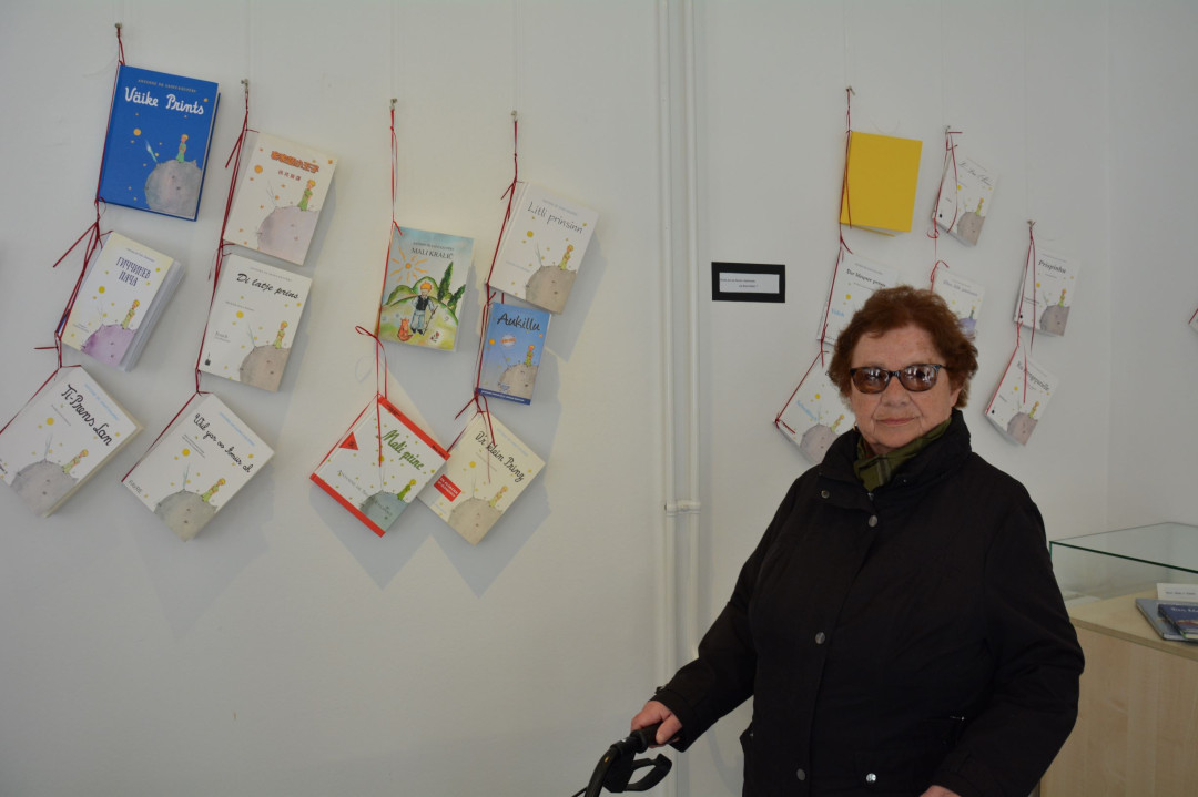 Mali princ v Anini galeriji