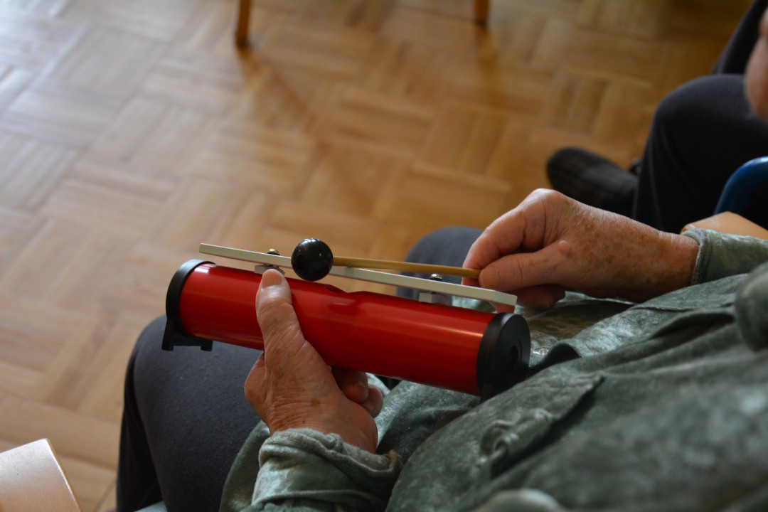 Muziciranje v Pegazovem domu