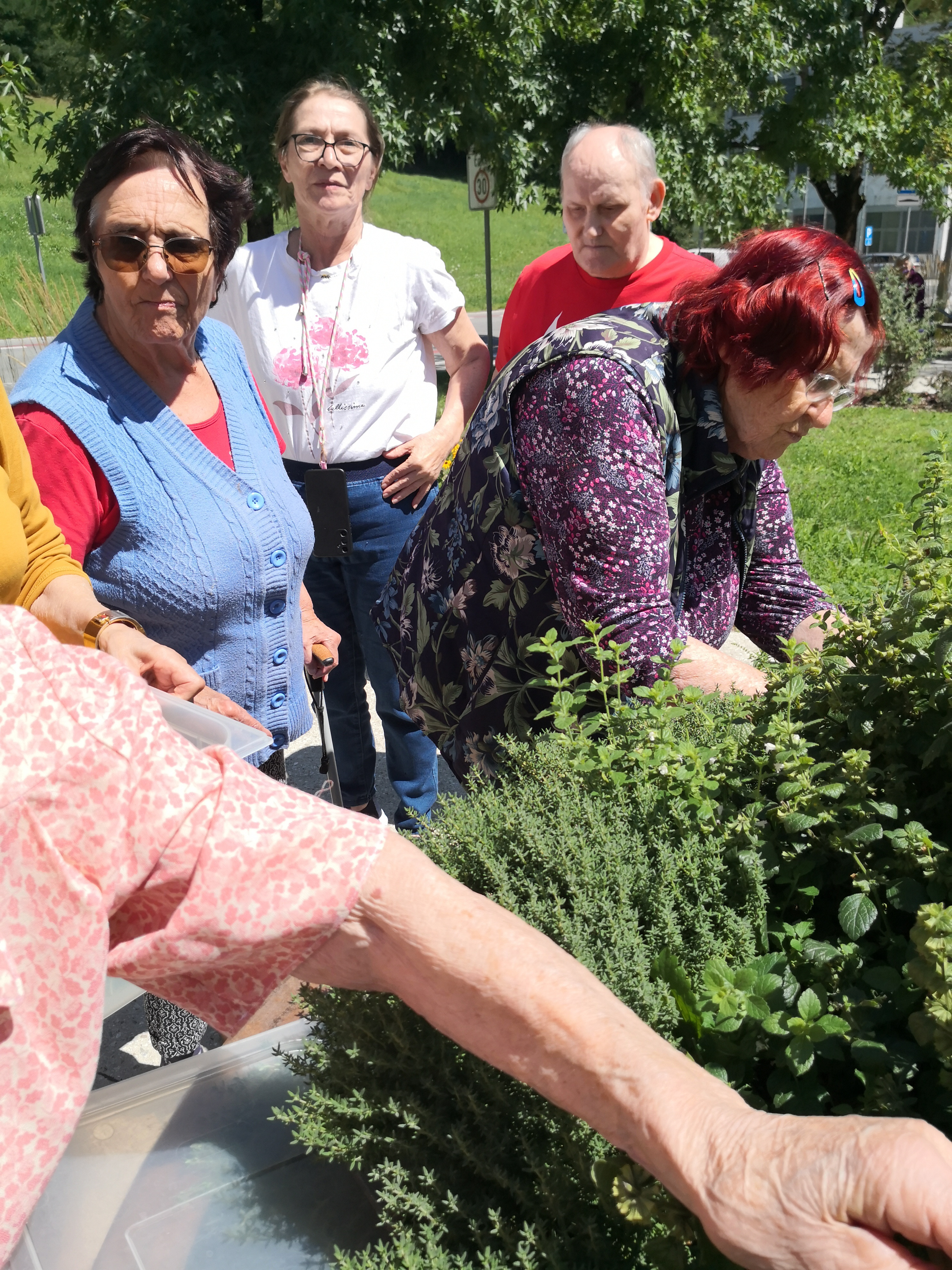 Nabiranje mete in melise ter kuhanje sirupa