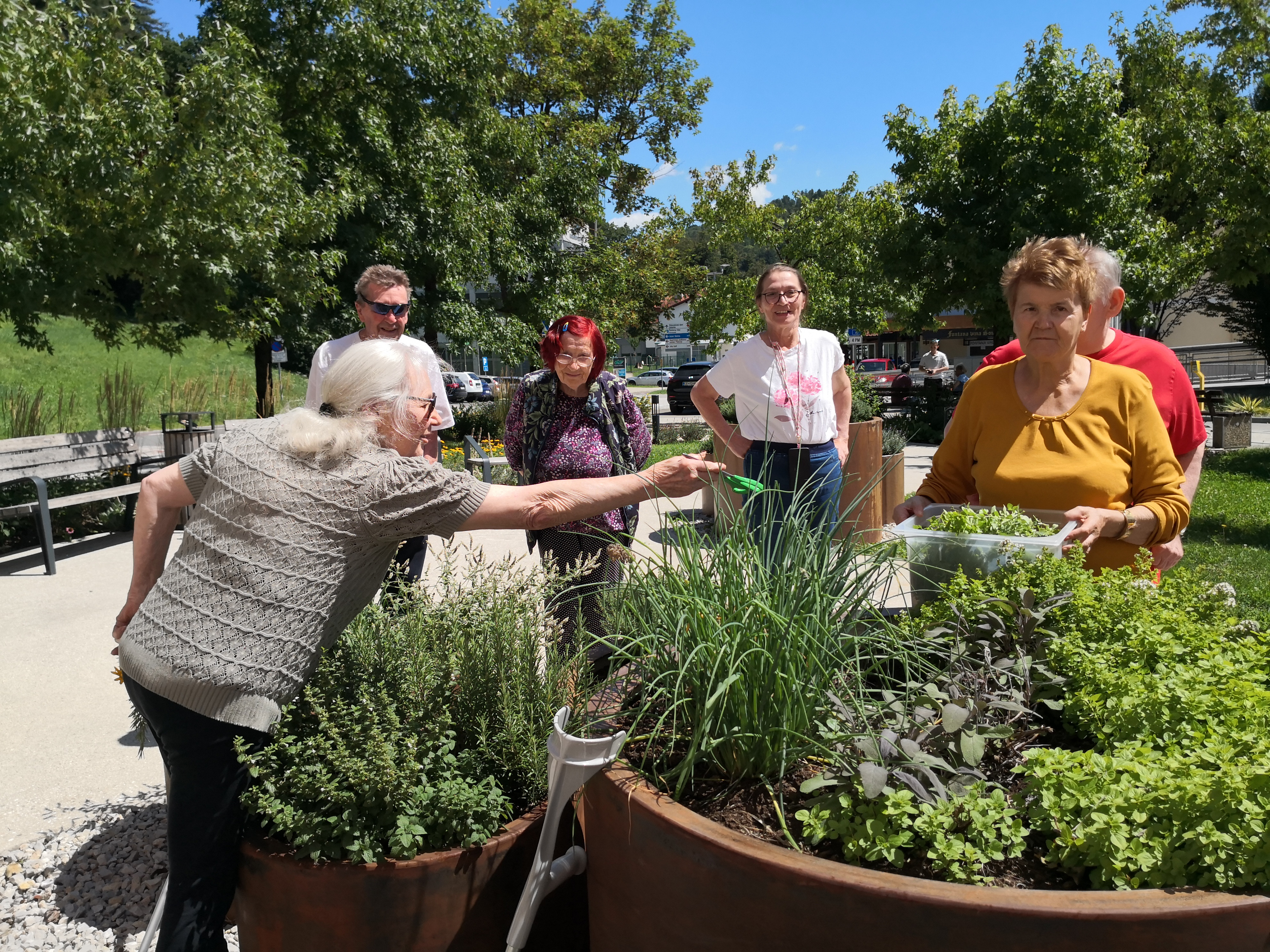 Nabiranje mete in melise ter kuhanje sirupa