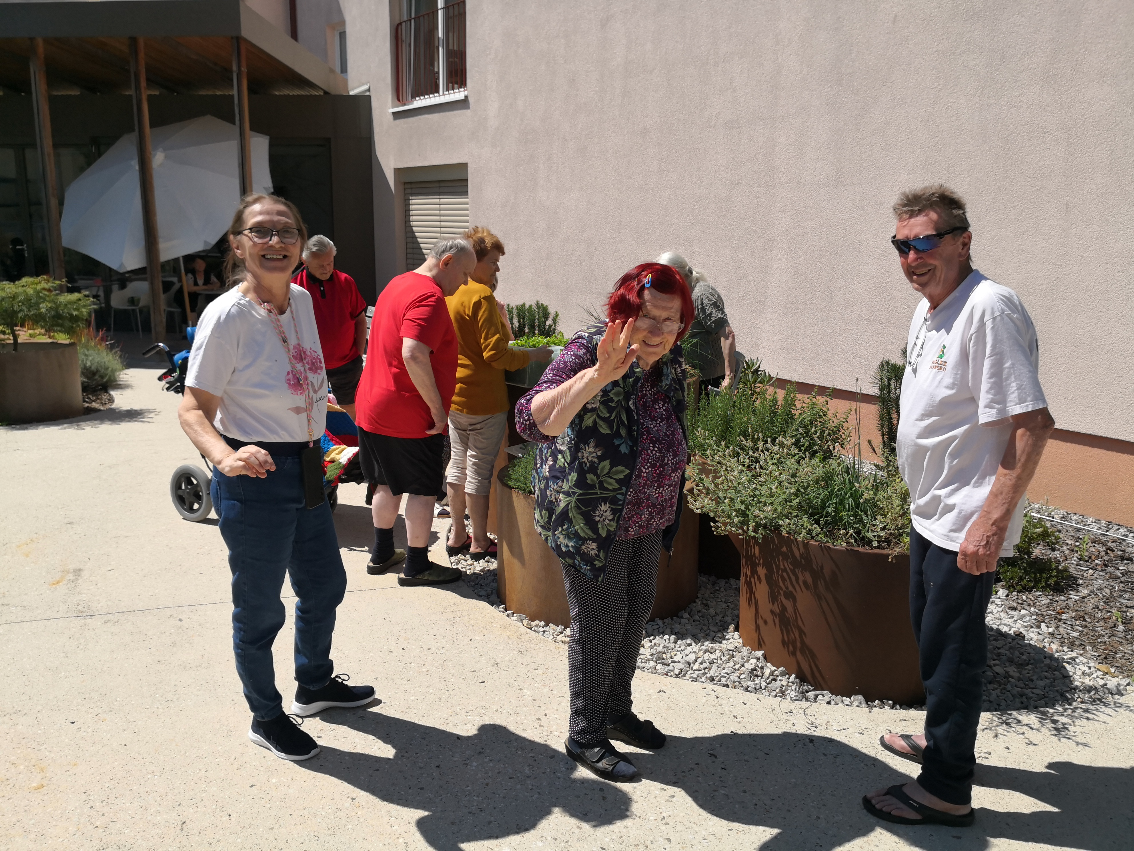 Nabiranje mete in melise ter kuhanje sirupa