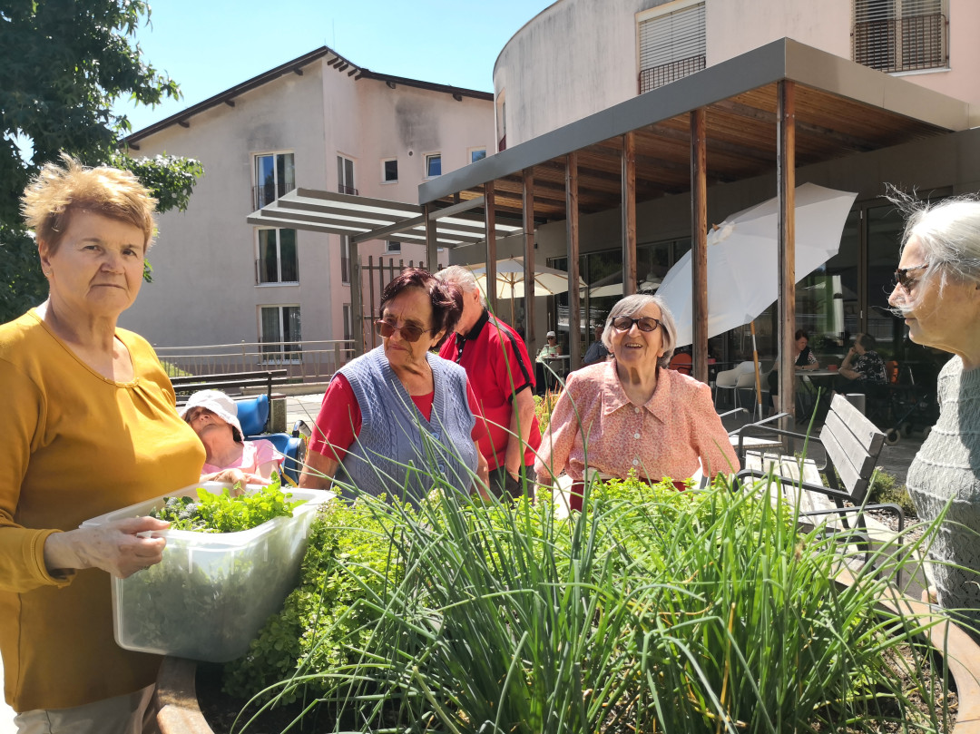Nabiranje mete in melise ter kuhanje sirupa