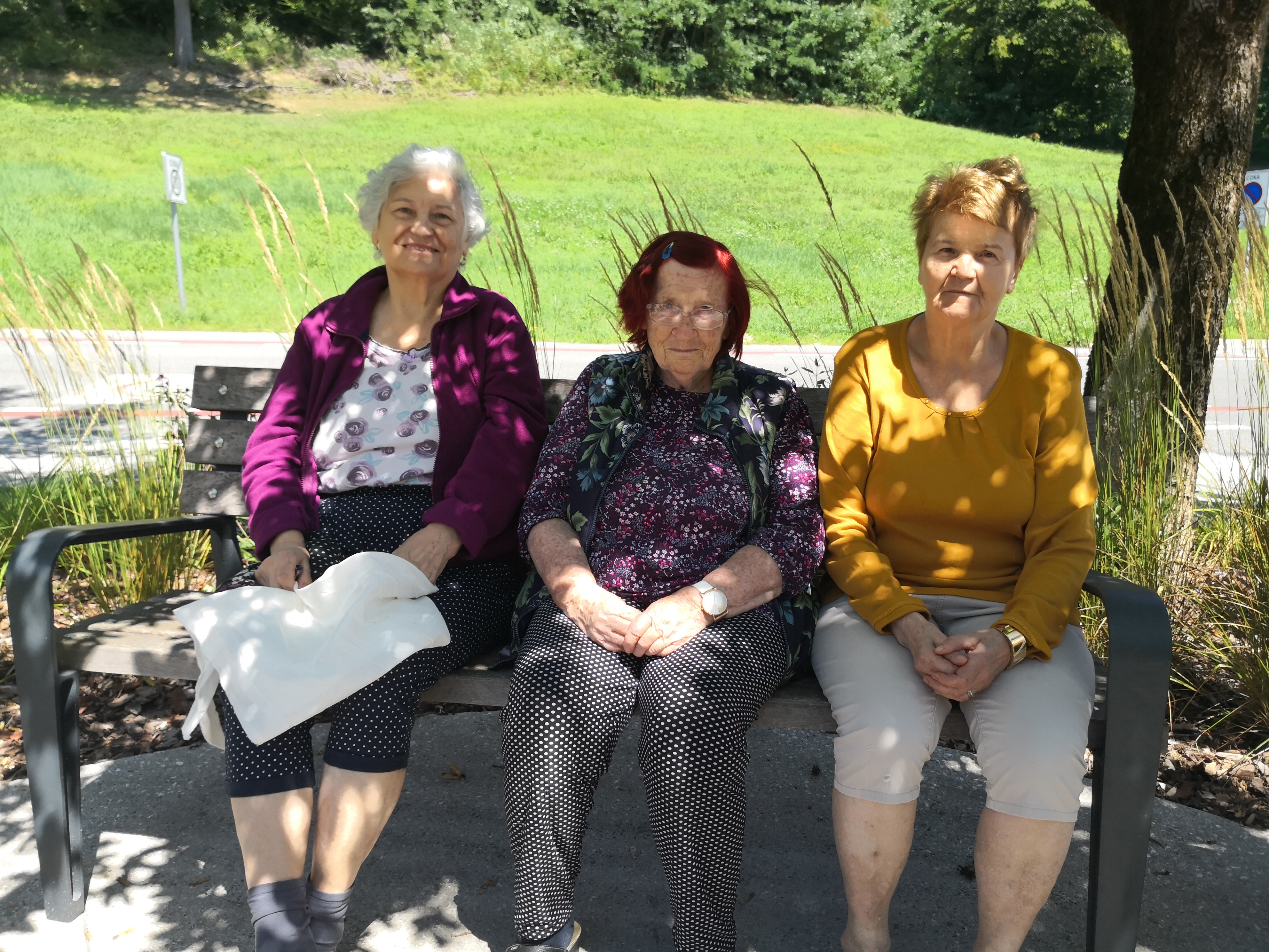 Nabiranje mete in melise ter kuhanje sirupa