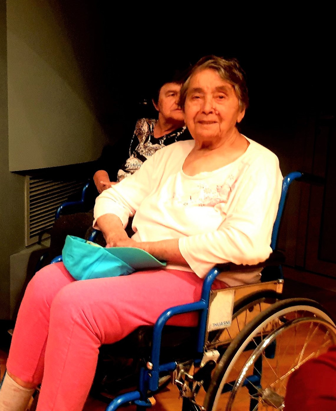 Ob dnevu državnosti