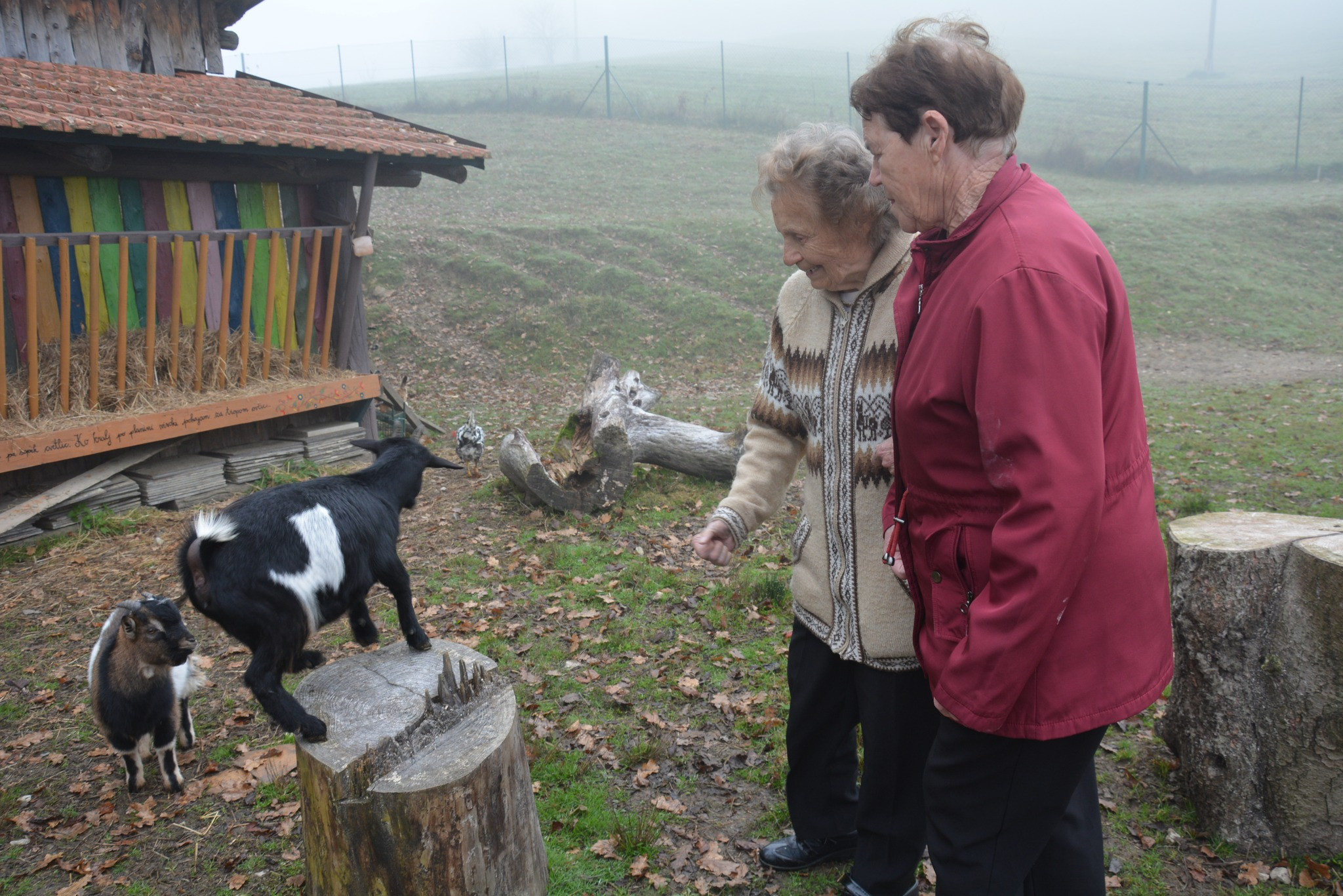 Obisk domačije Mia Mia
