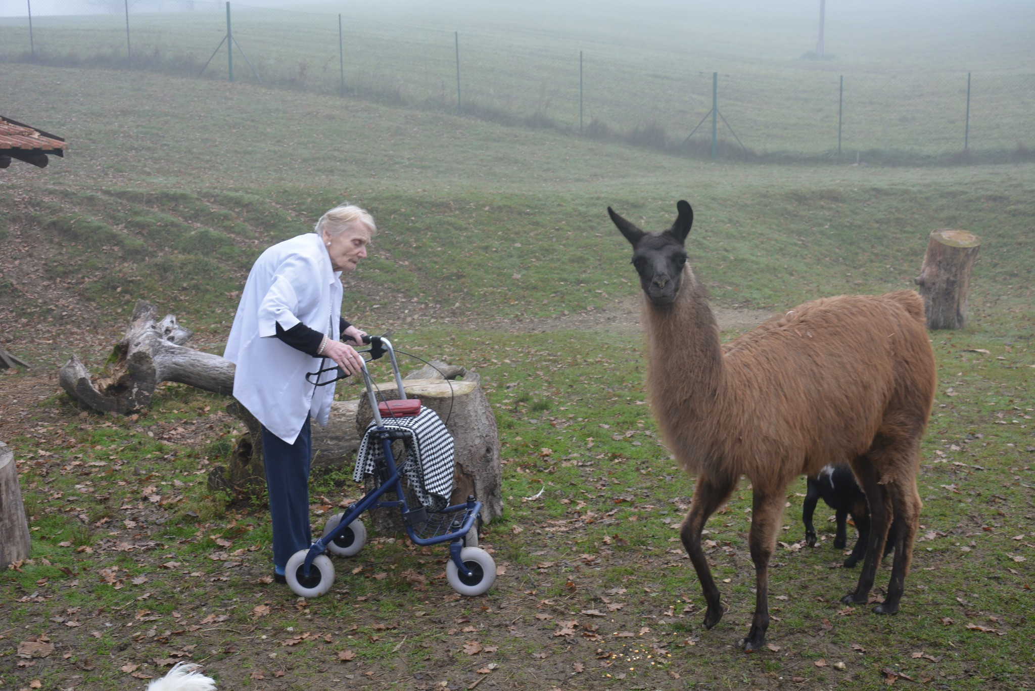 Obisk domačije Mia Mia