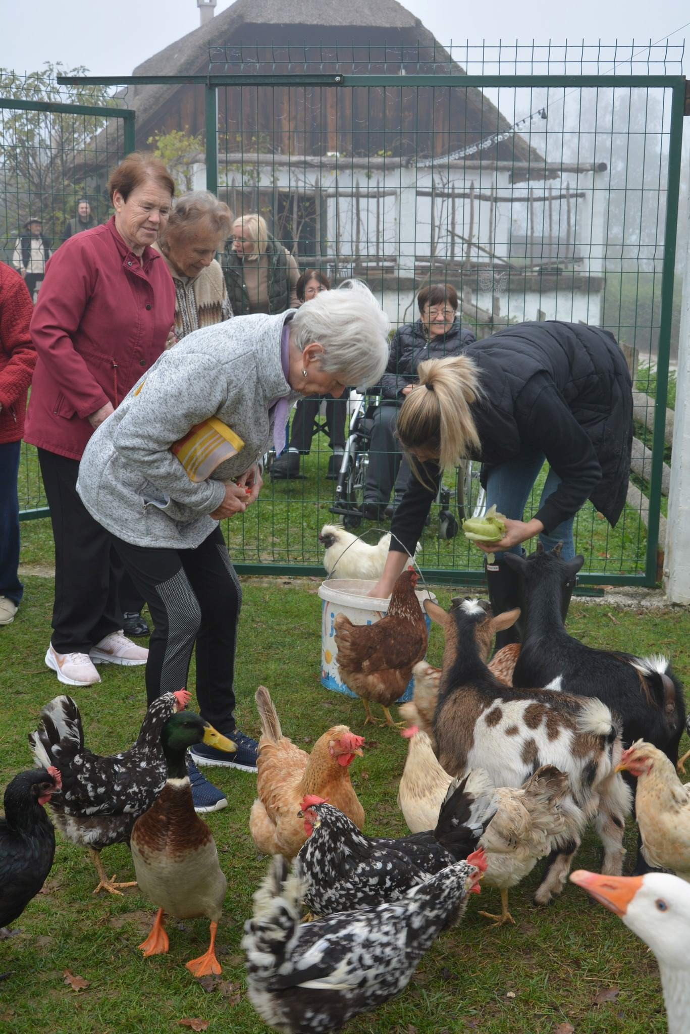 Obisk domačije Mia Mia