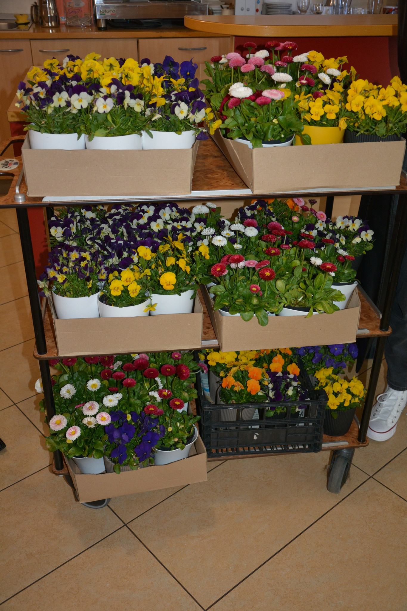 Obisk Leo kluba Rogaška