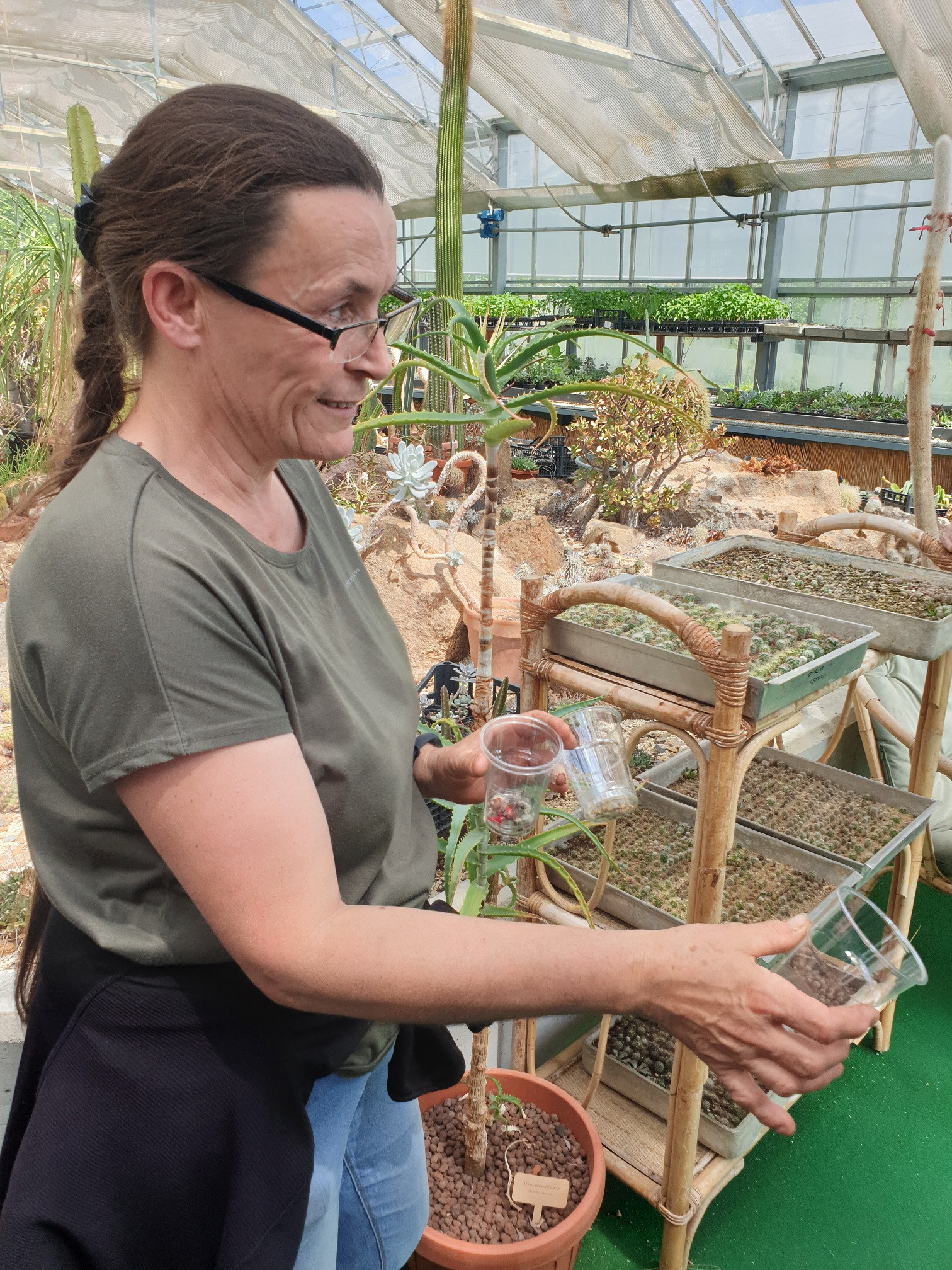 Obiskali smo Paviljon kaktej v Cerovcu pod Bočem