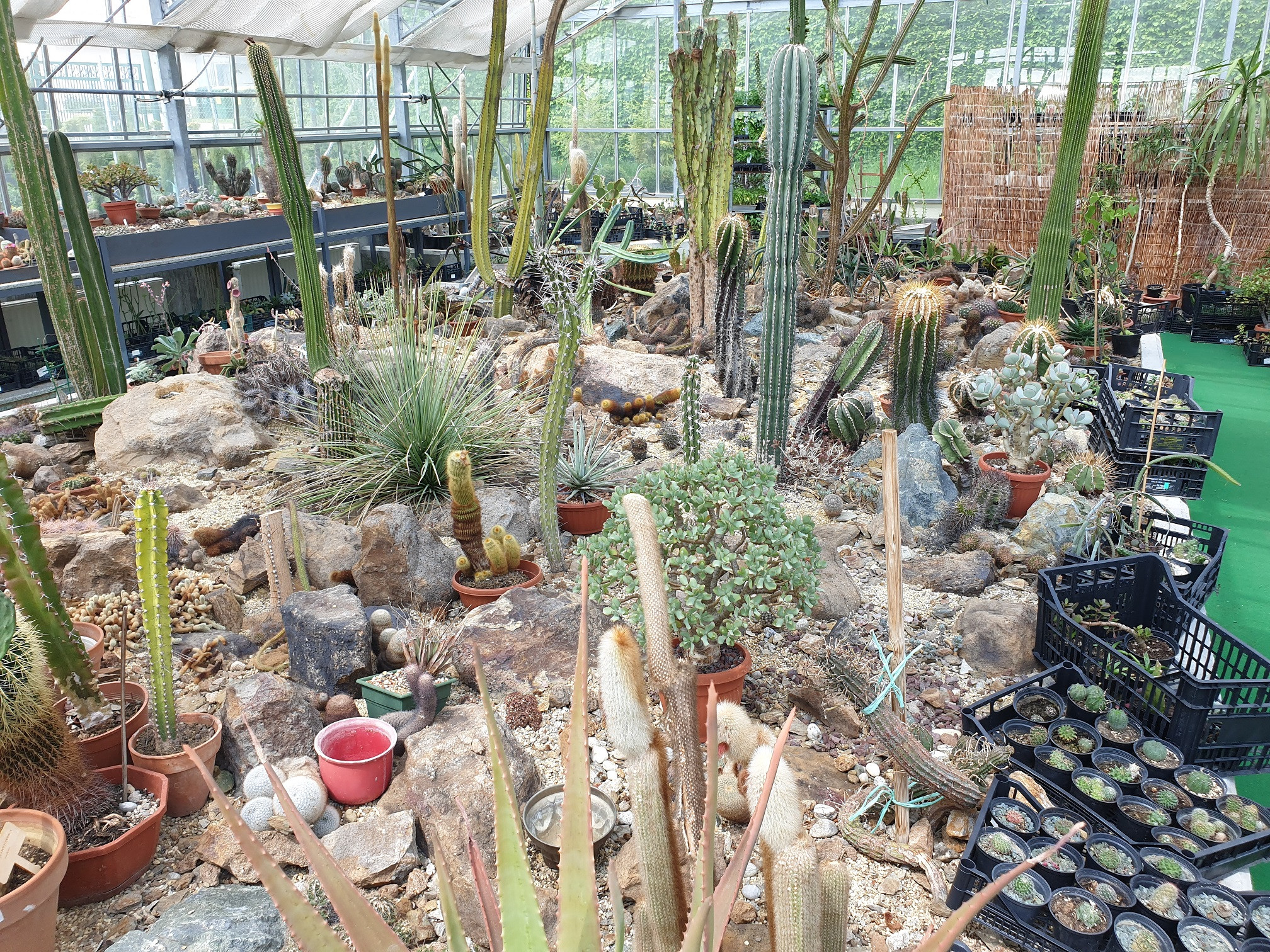 Obiskali smo Paviljon kaktej v Cerovcu pod Bočem