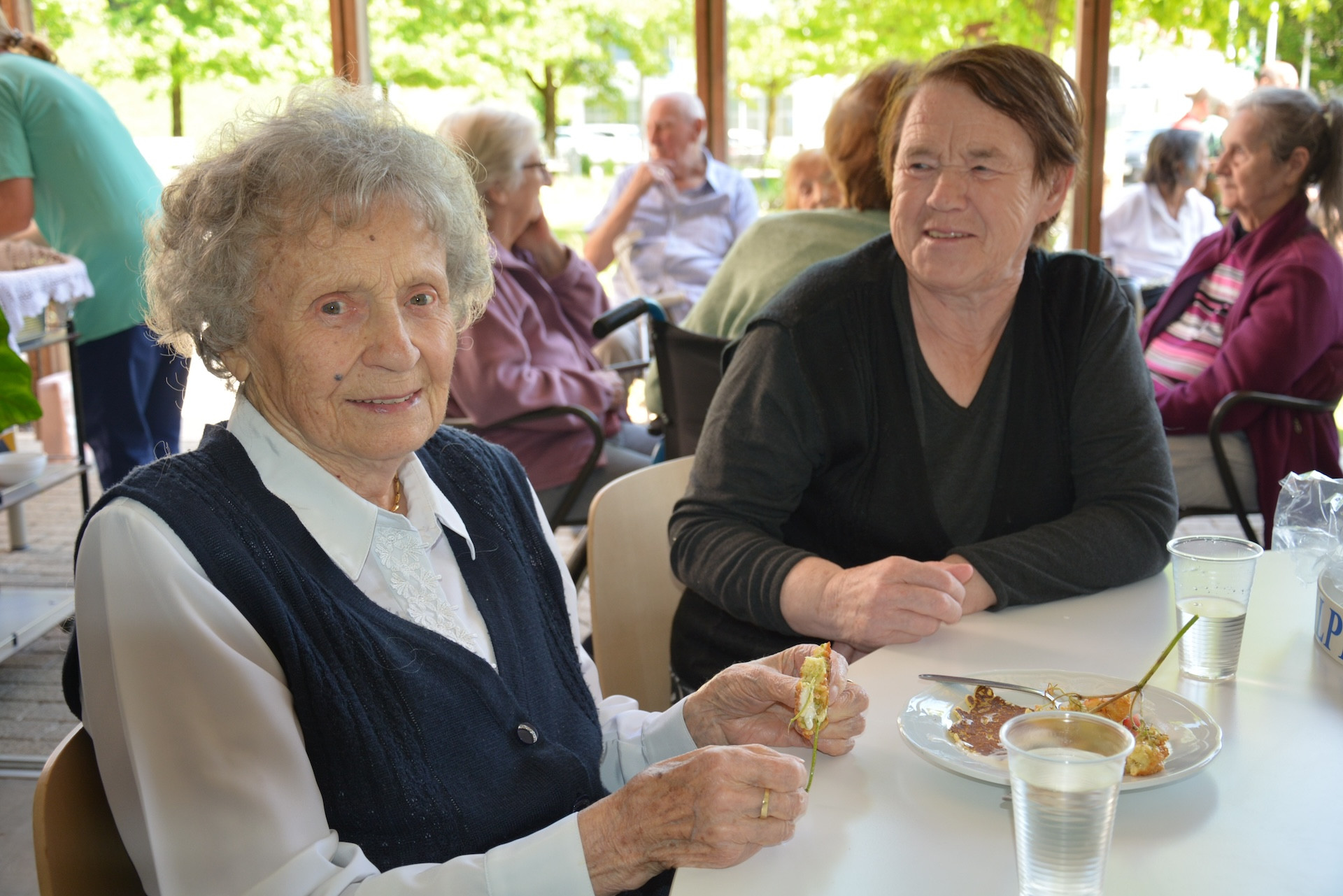 Odprta kuhinja z bezgom