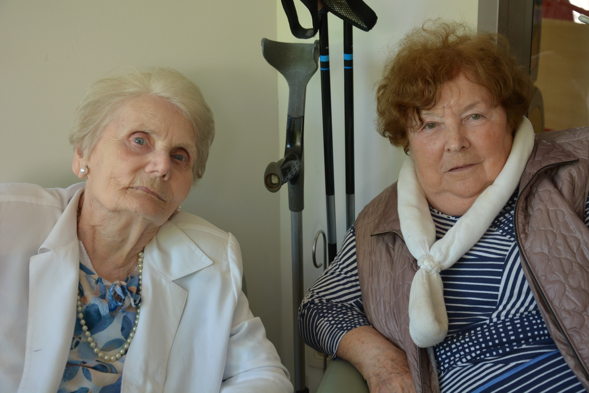 Odprta kuhinja z bezgom