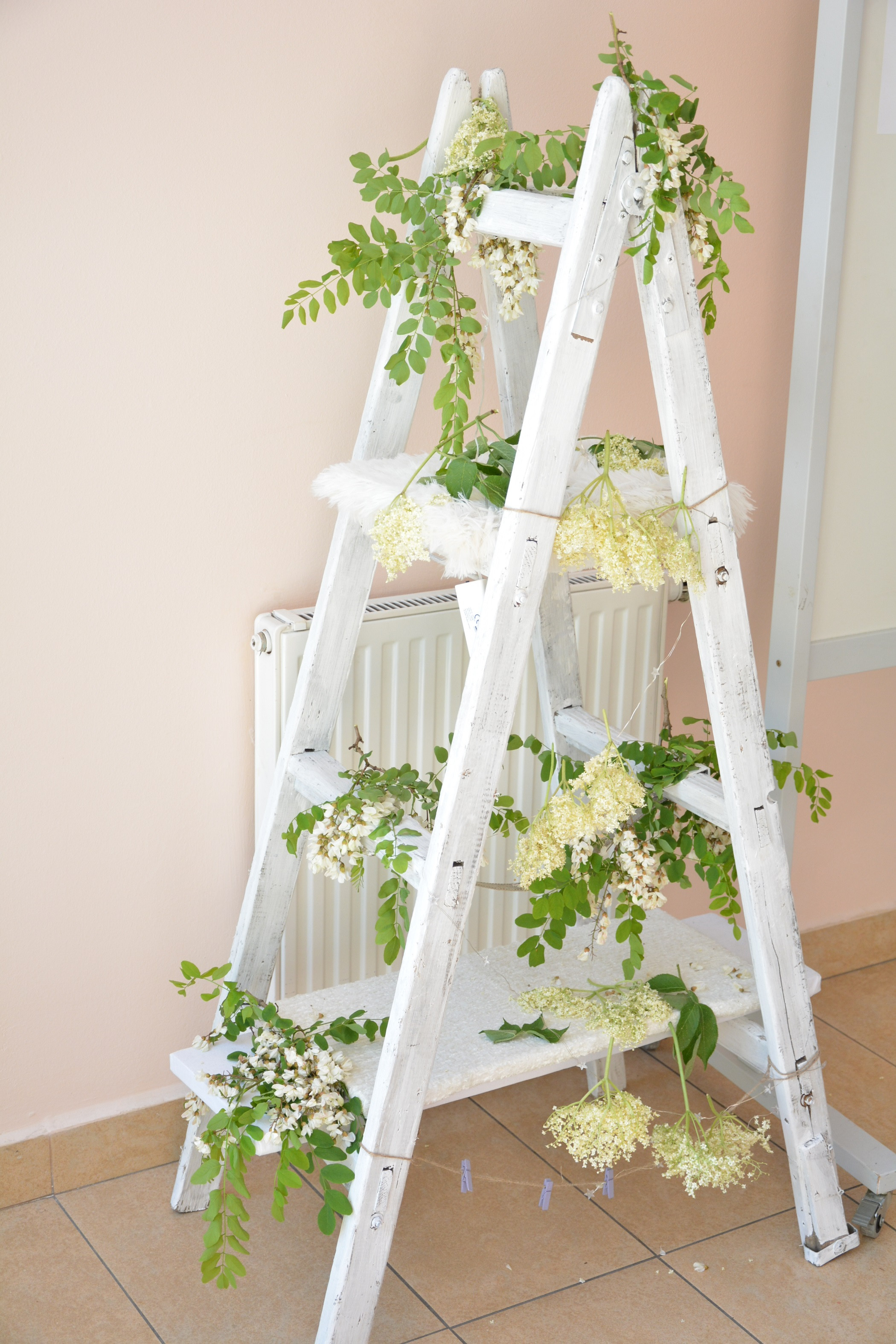 Odprta kuhinja z bezgom