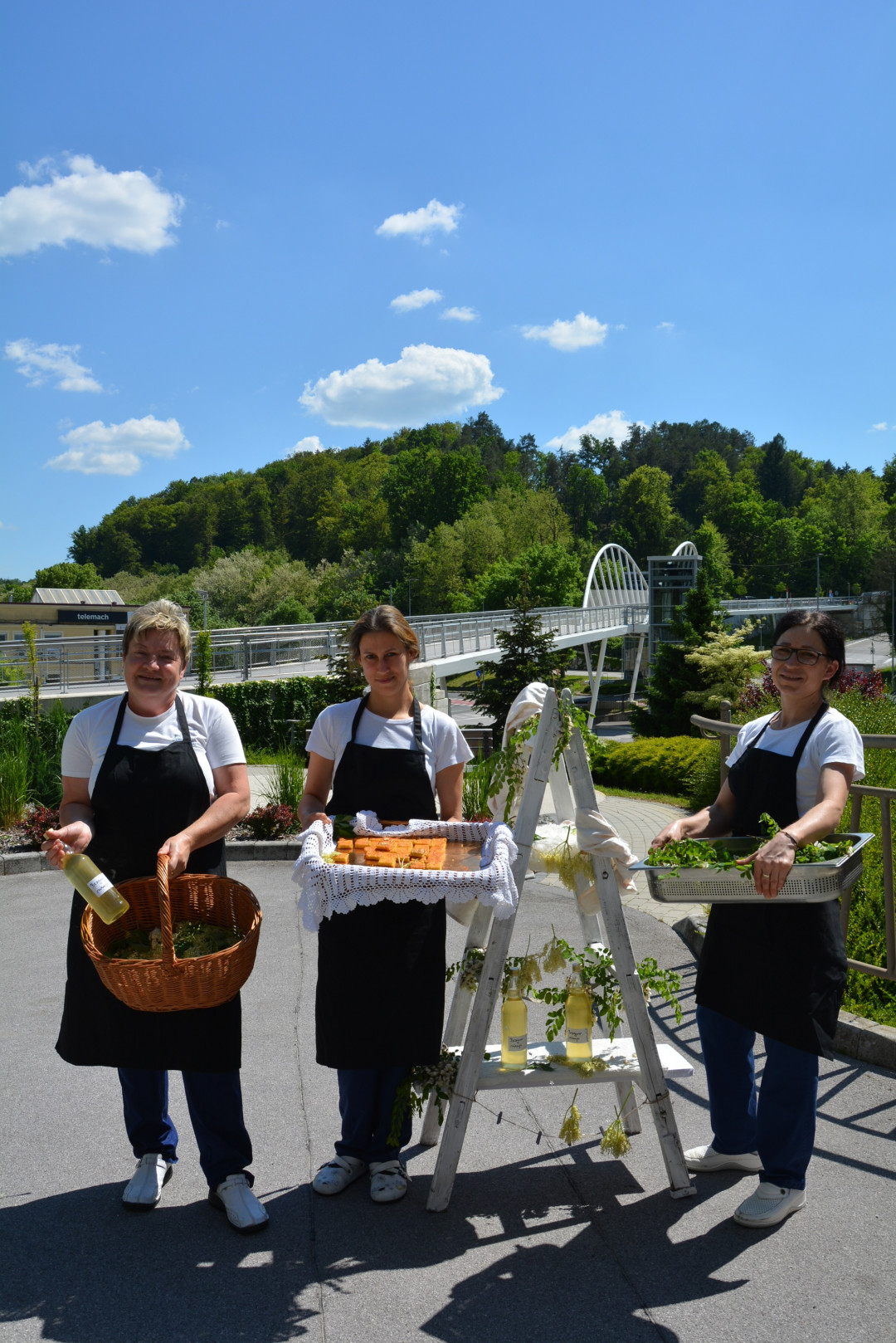 Odprta kuhinja z bezgom