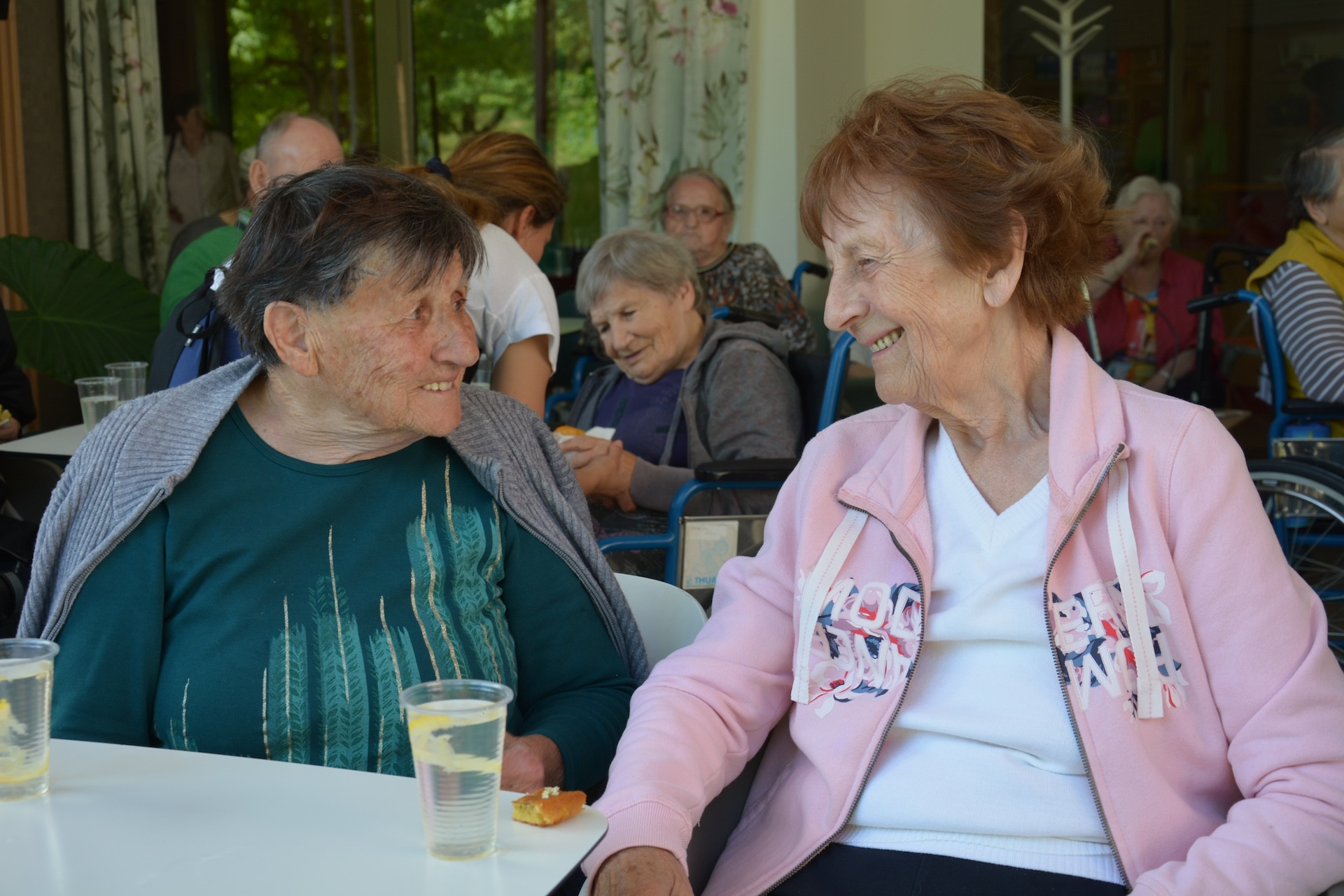 Odprta kuhinja z bezgom