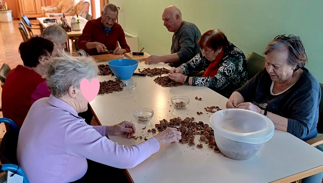 Orehova potica bo…