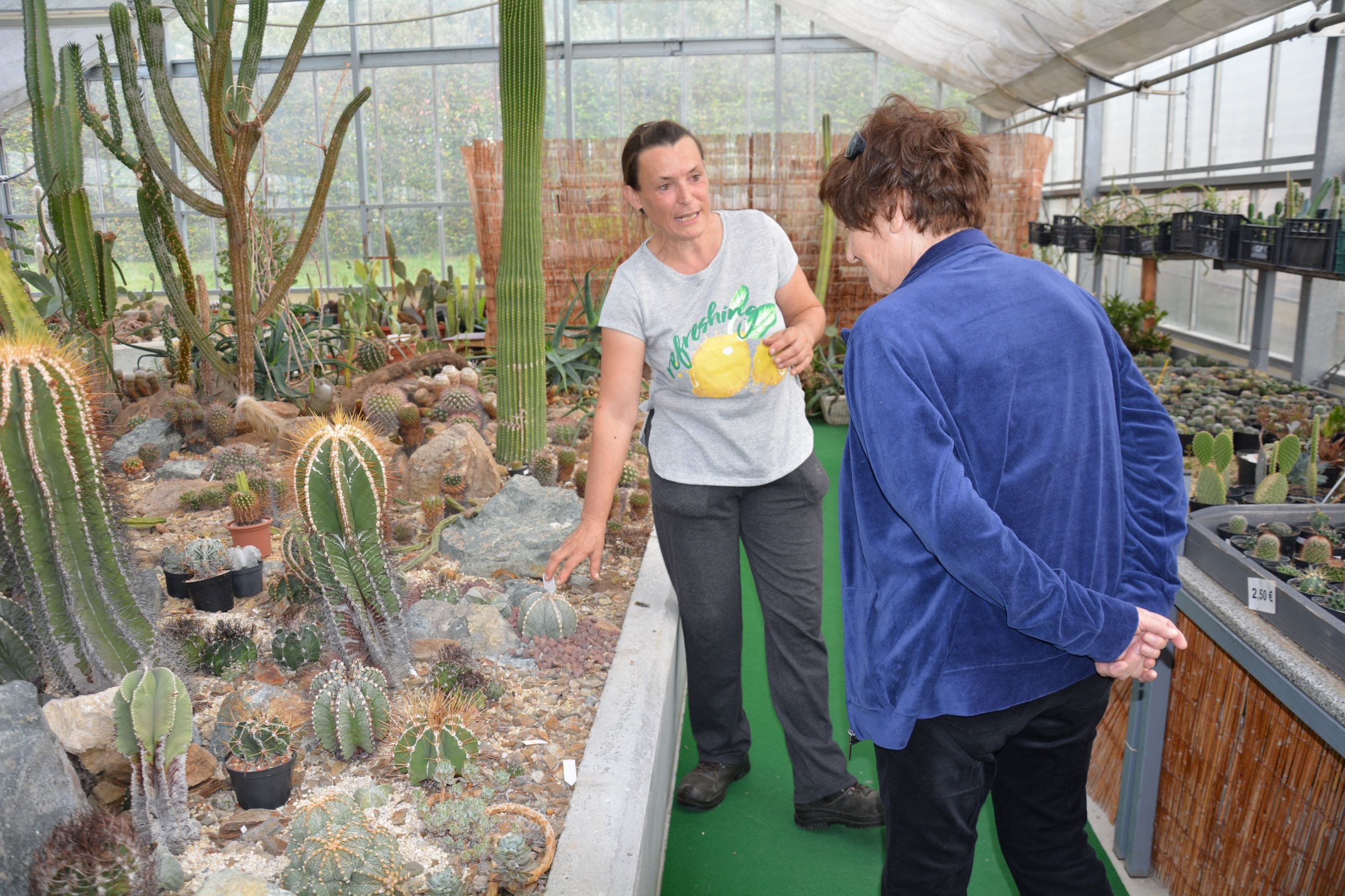 Paviljon kaktej in Pomona