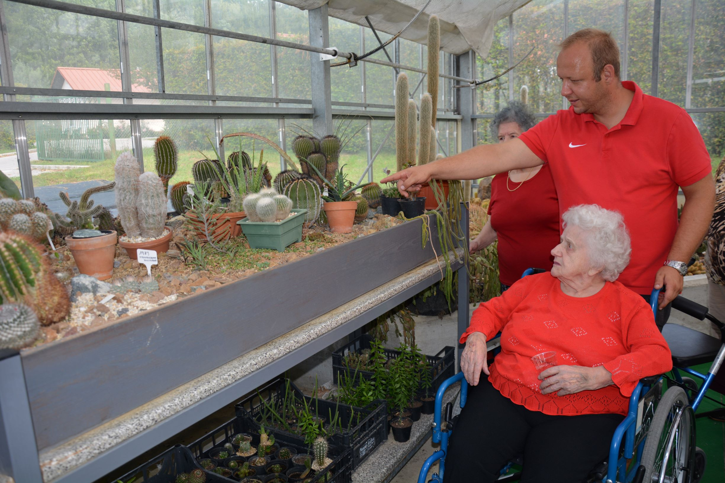 Paviljon kaktej in Pomona