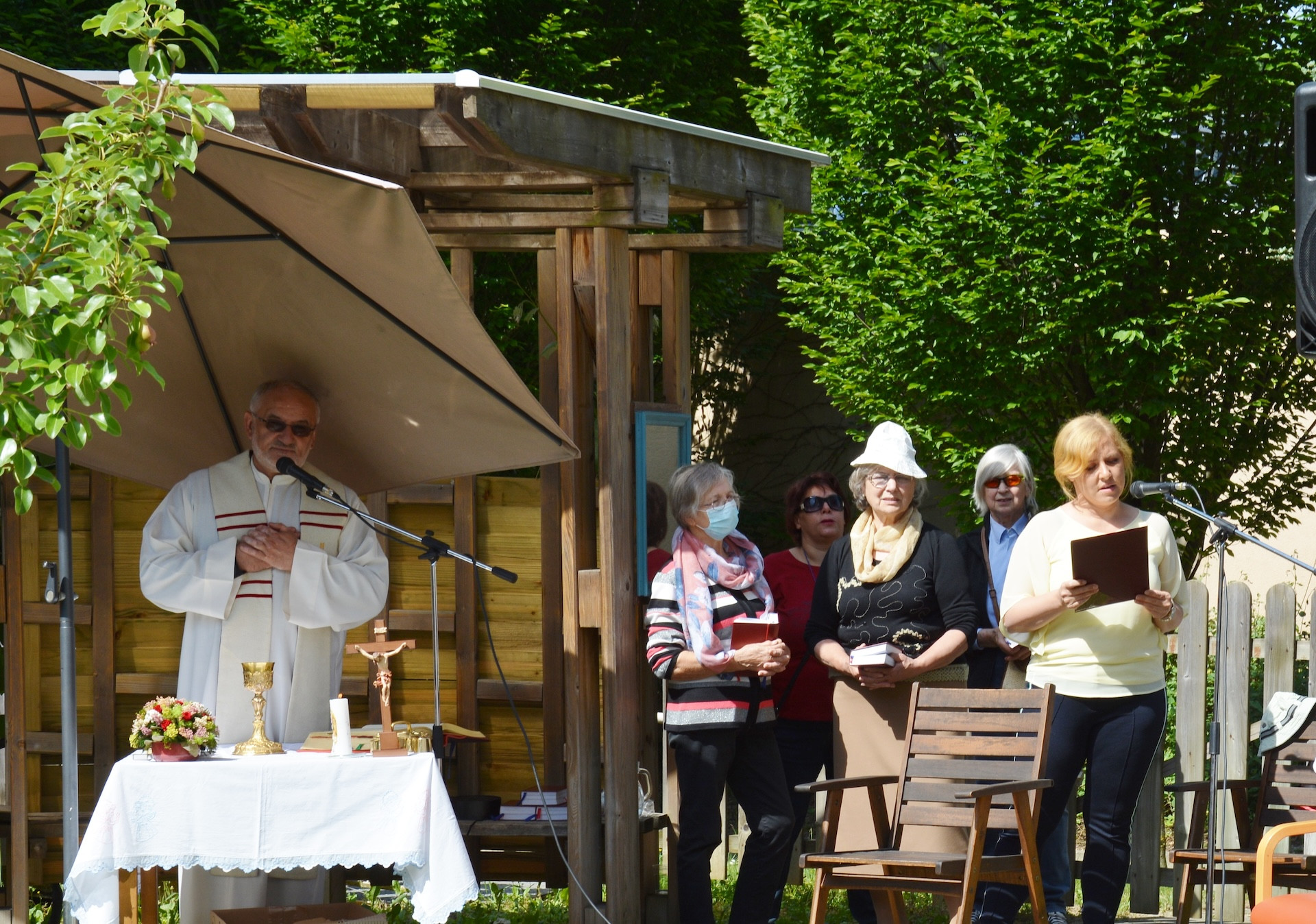 Pegazovi prostovoljci