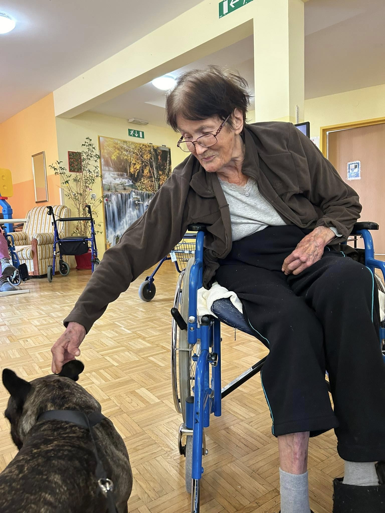 Pester teden poln lepih dogodkov