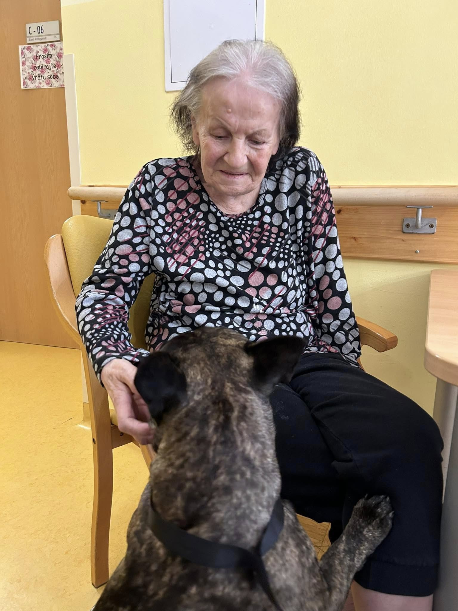 Pester teden poln lepih dogodkov