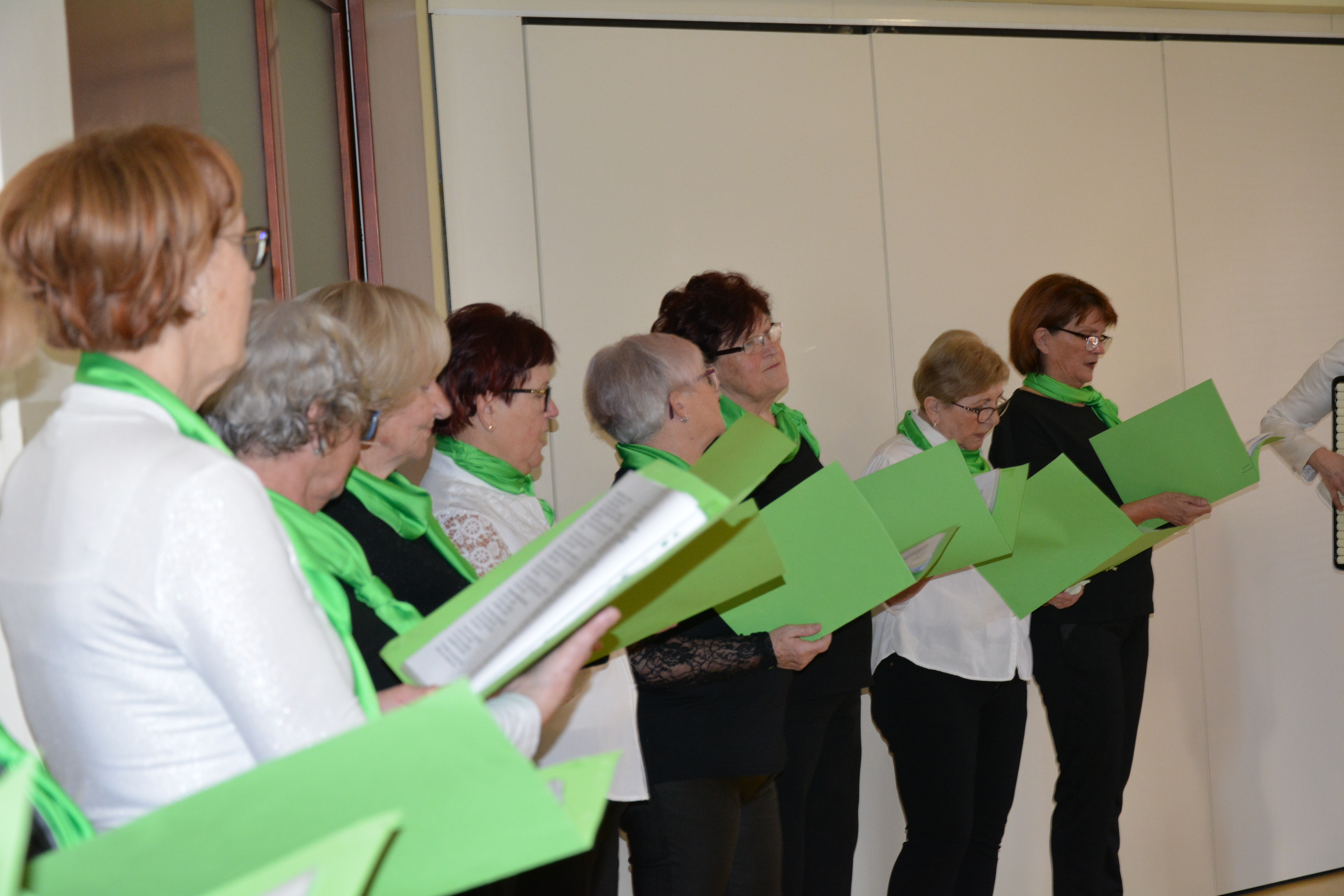 Pevke „Vedno zelene“