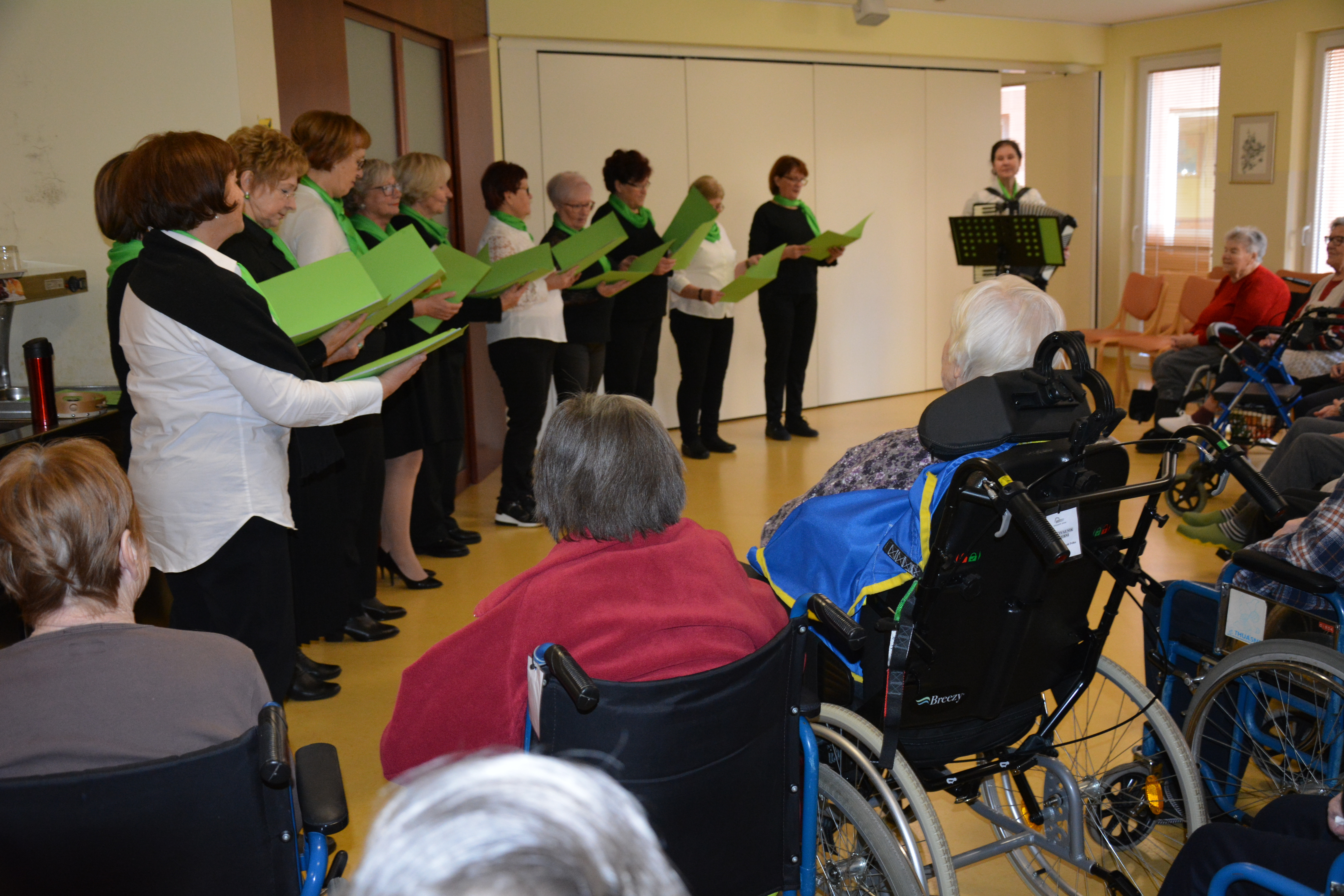 Pevke „Vedno zelene“