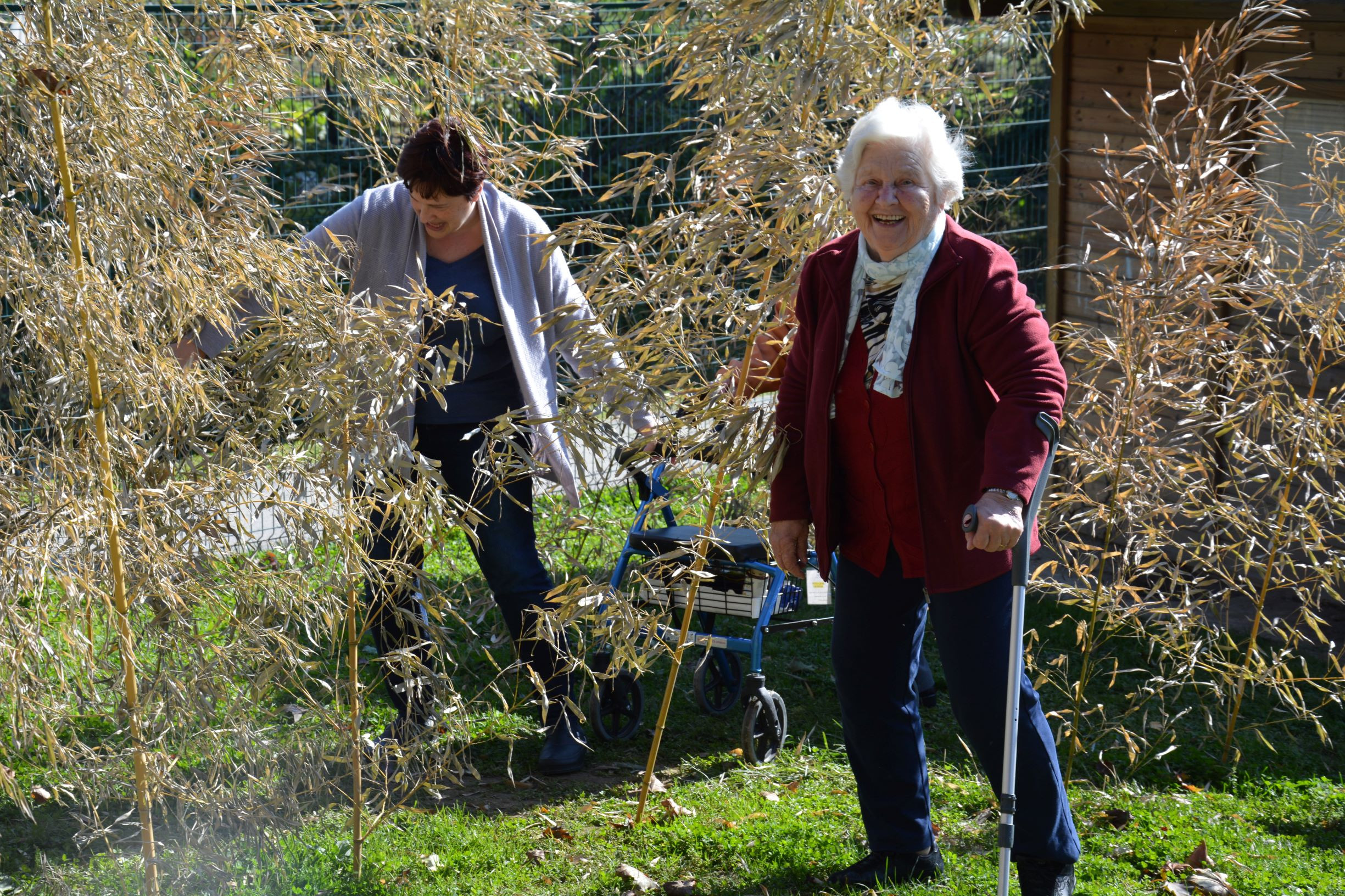 Pojdimo po čutni poti
