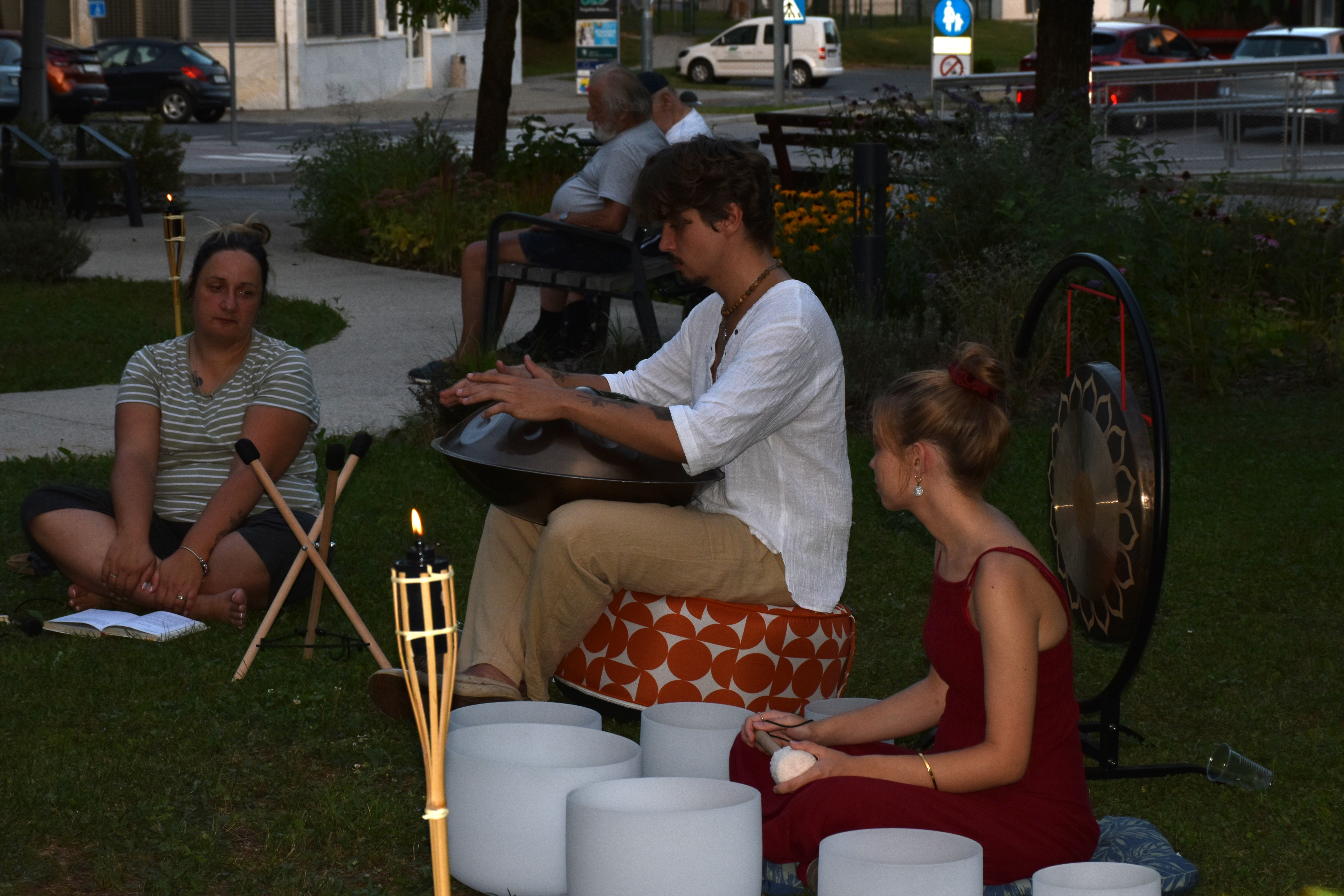 Poletni večer v zeliščnem parku