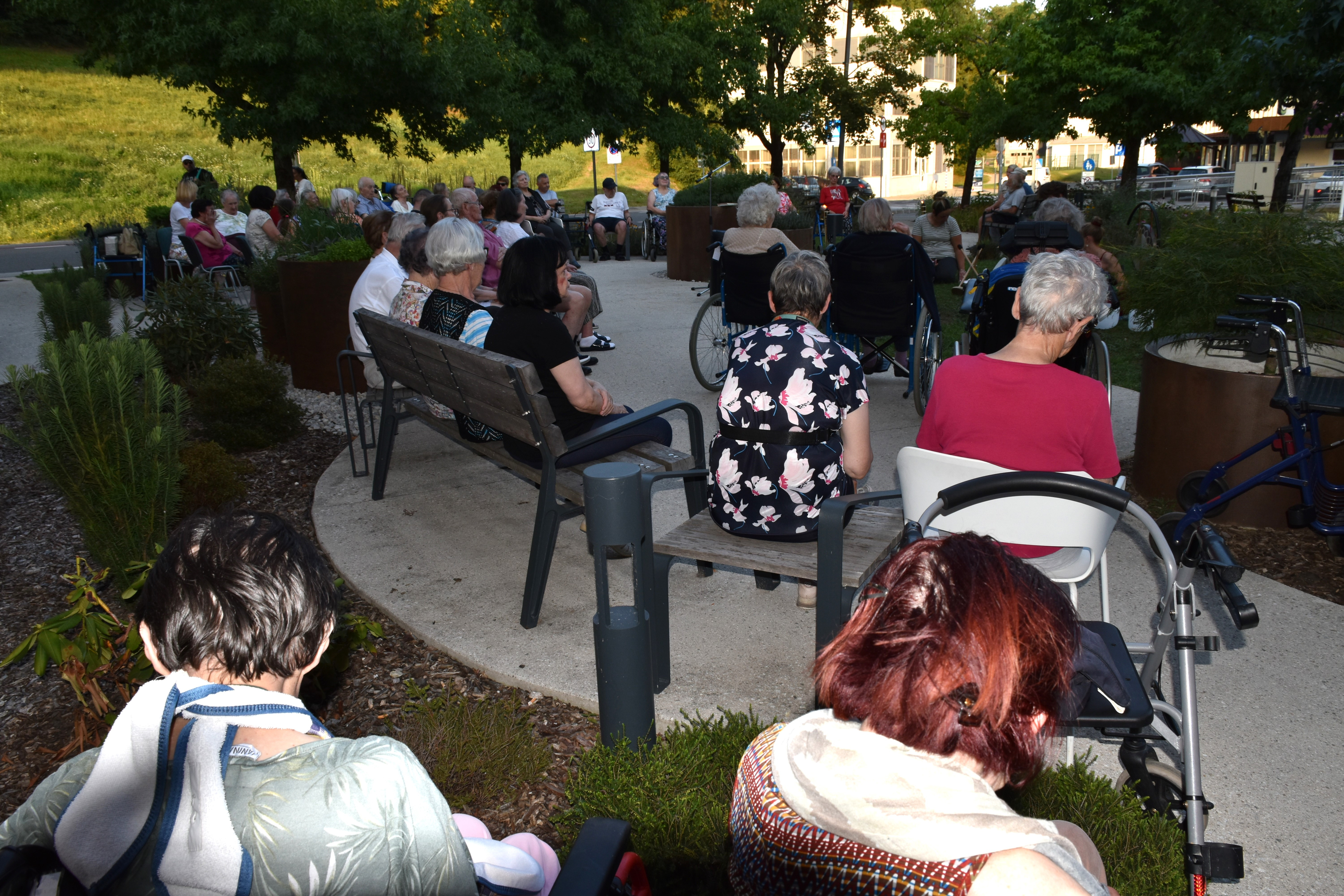 Poletni večer v zeliščnem parku