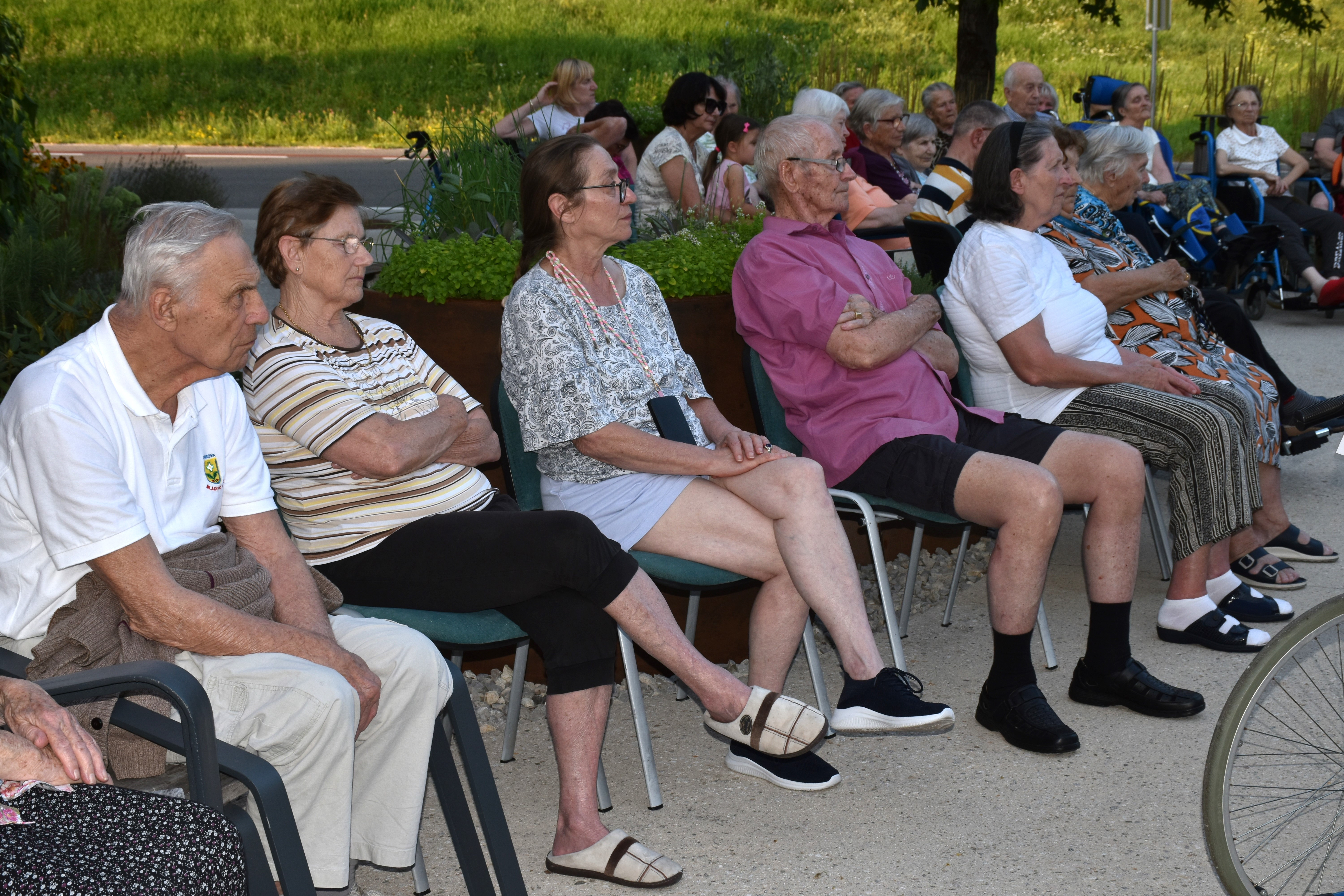Poletni večer v zeliščnem parku