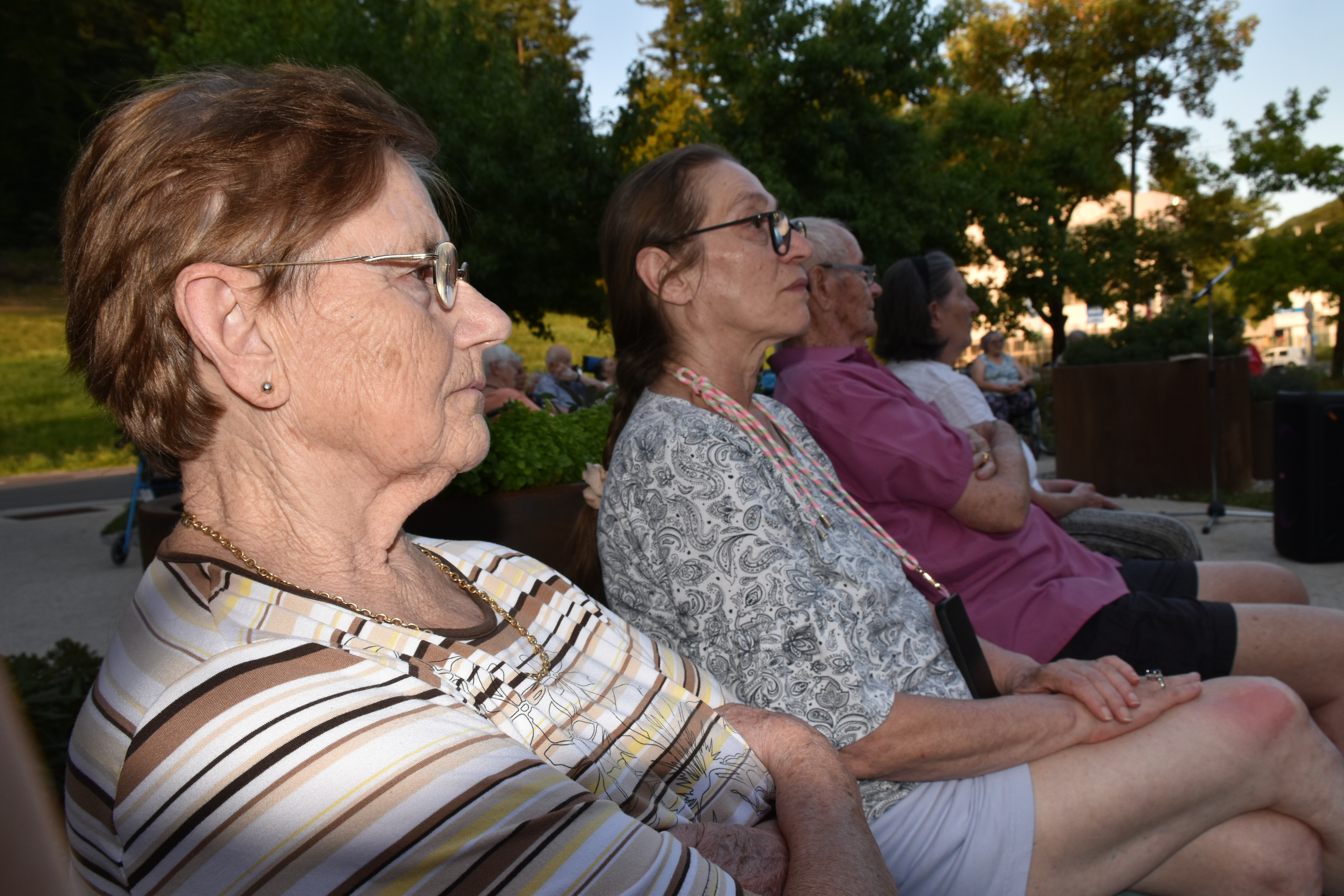 Poletni večer v zeliščnem parku
