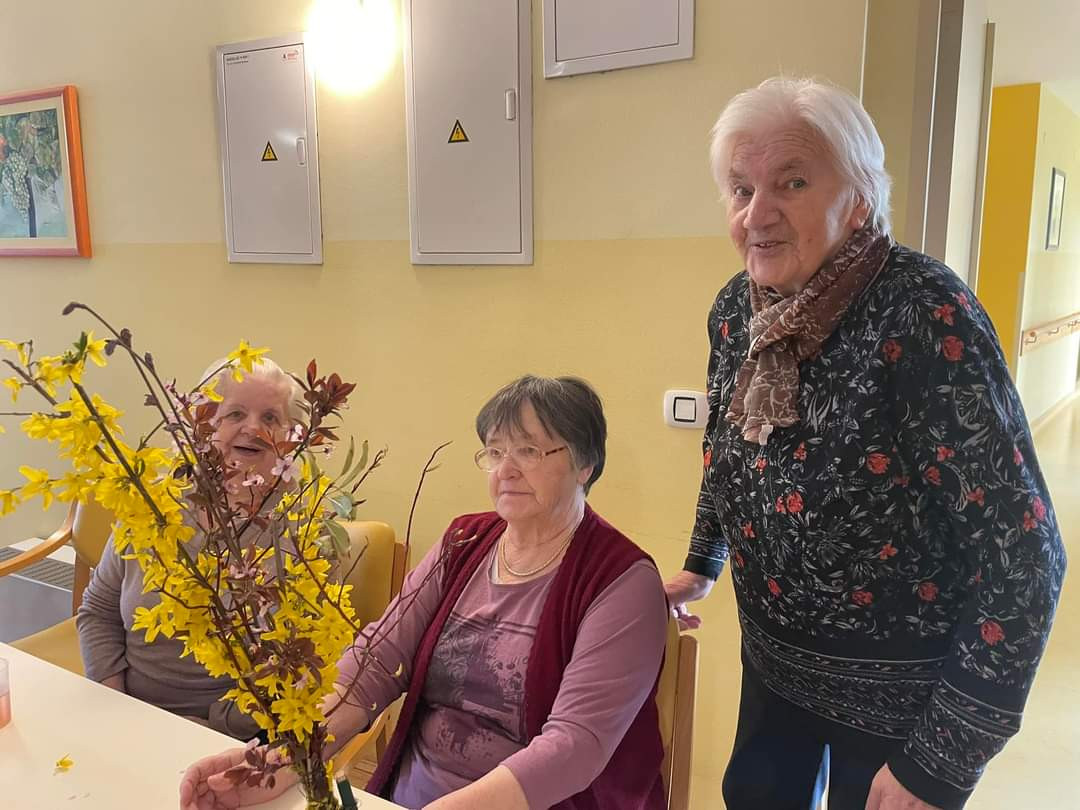 Pred vrati je cvetna nedelja