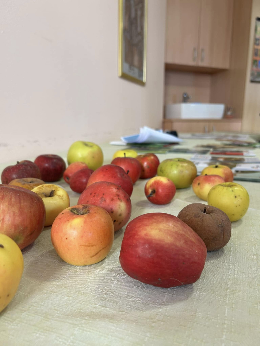 Predavanje o jabolkih