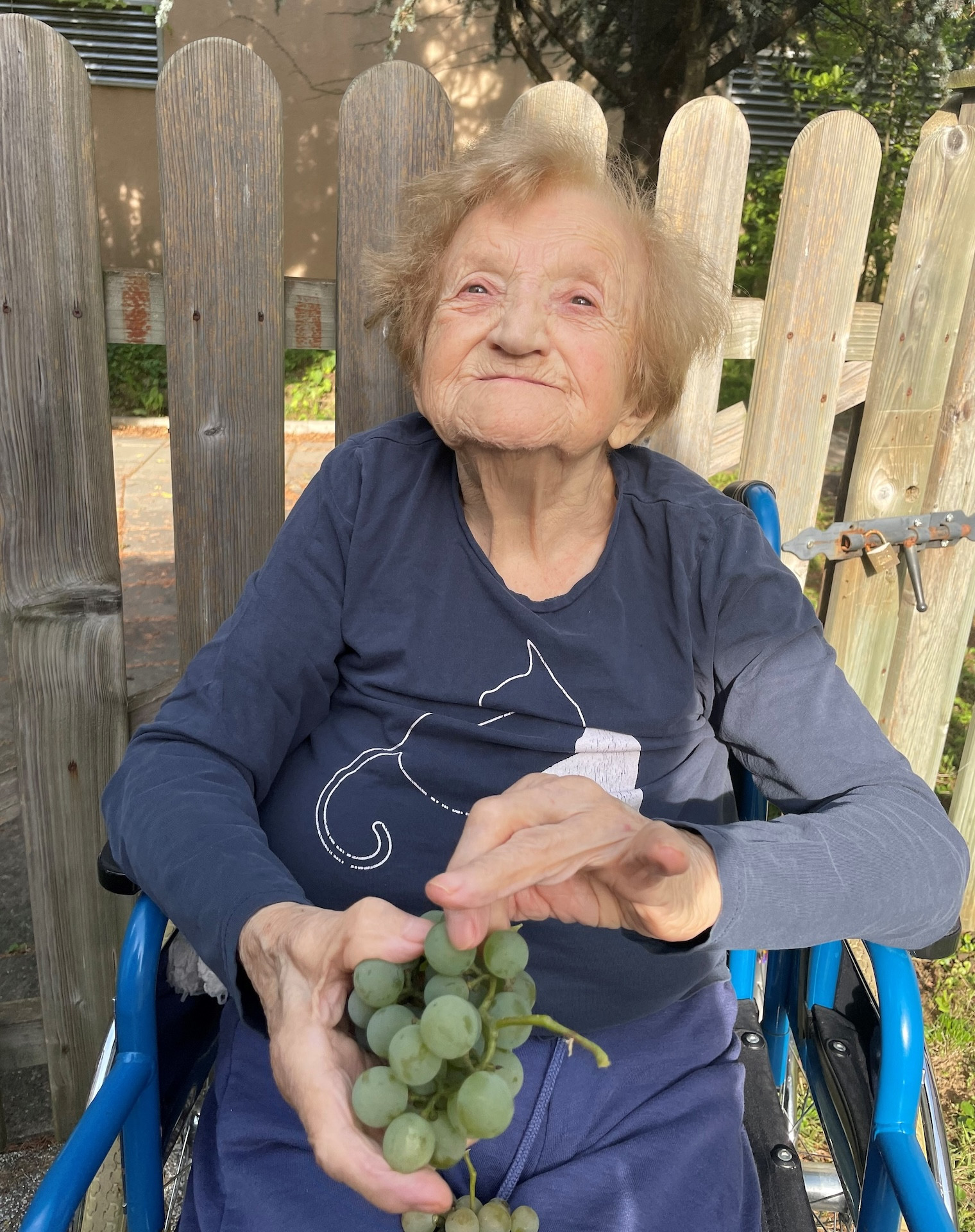 Predjesenske delavnice