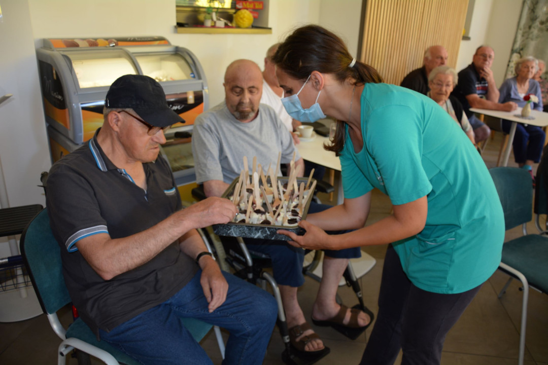 Predstavitev zdravilne rastline aronije