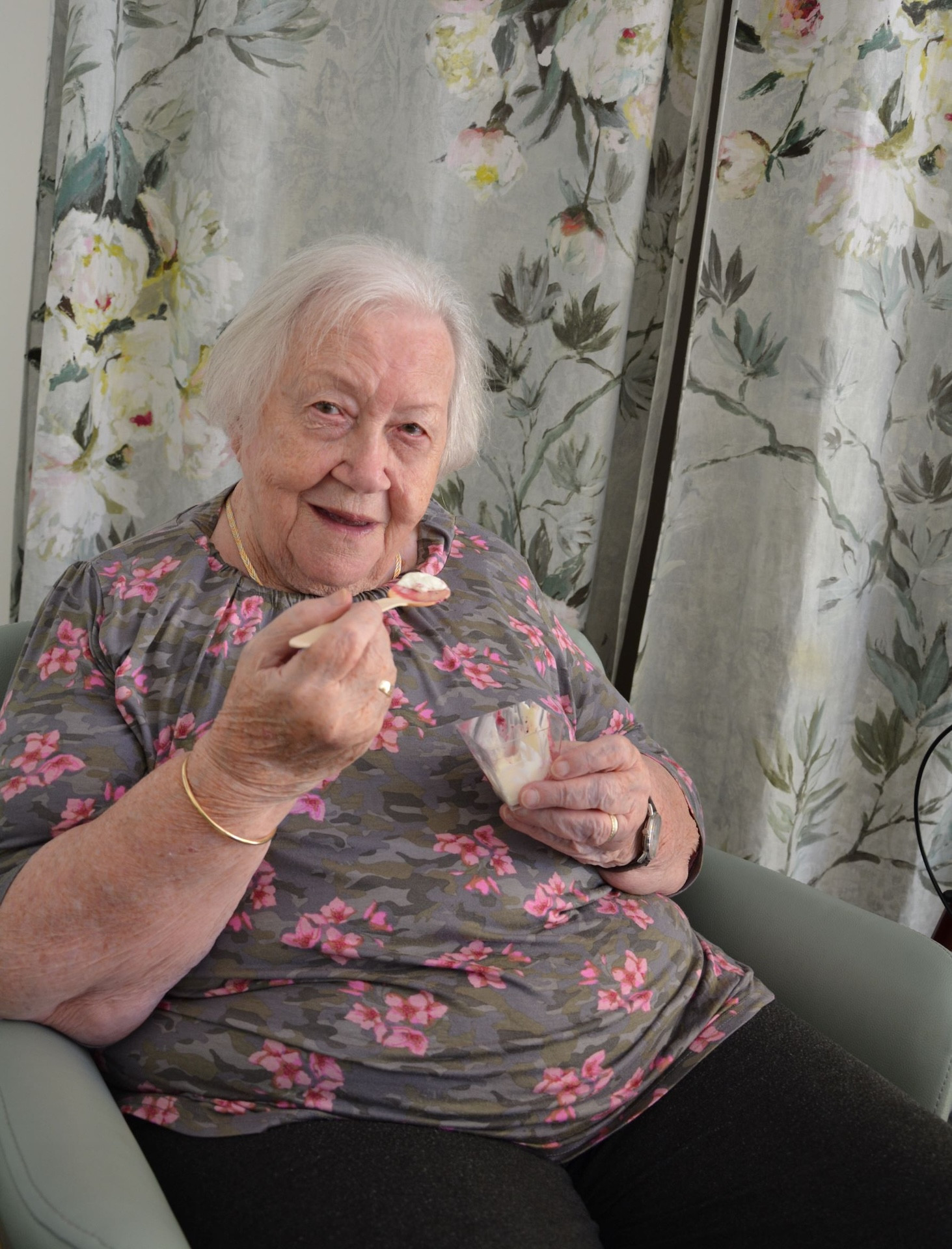 Predstavitev zdravilne rastline aronije