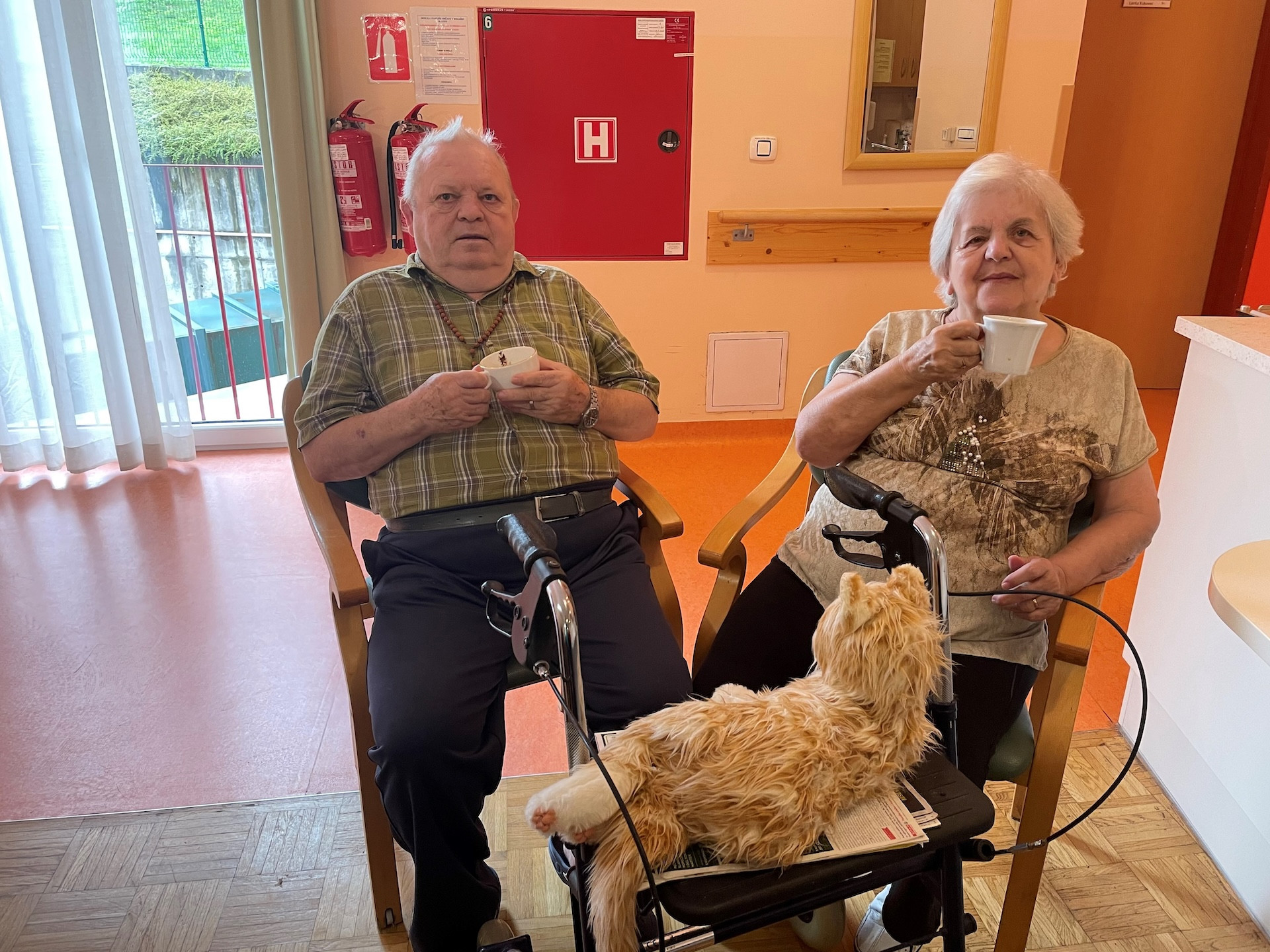 Pri nas ni nikoli dolgčas, vse preproste dni naredimo posebne.. Ta teden smo obrezali sivko in jo obrali, praznovali smo rojstni dan, izdelovali rože. Pri nas je lepo!