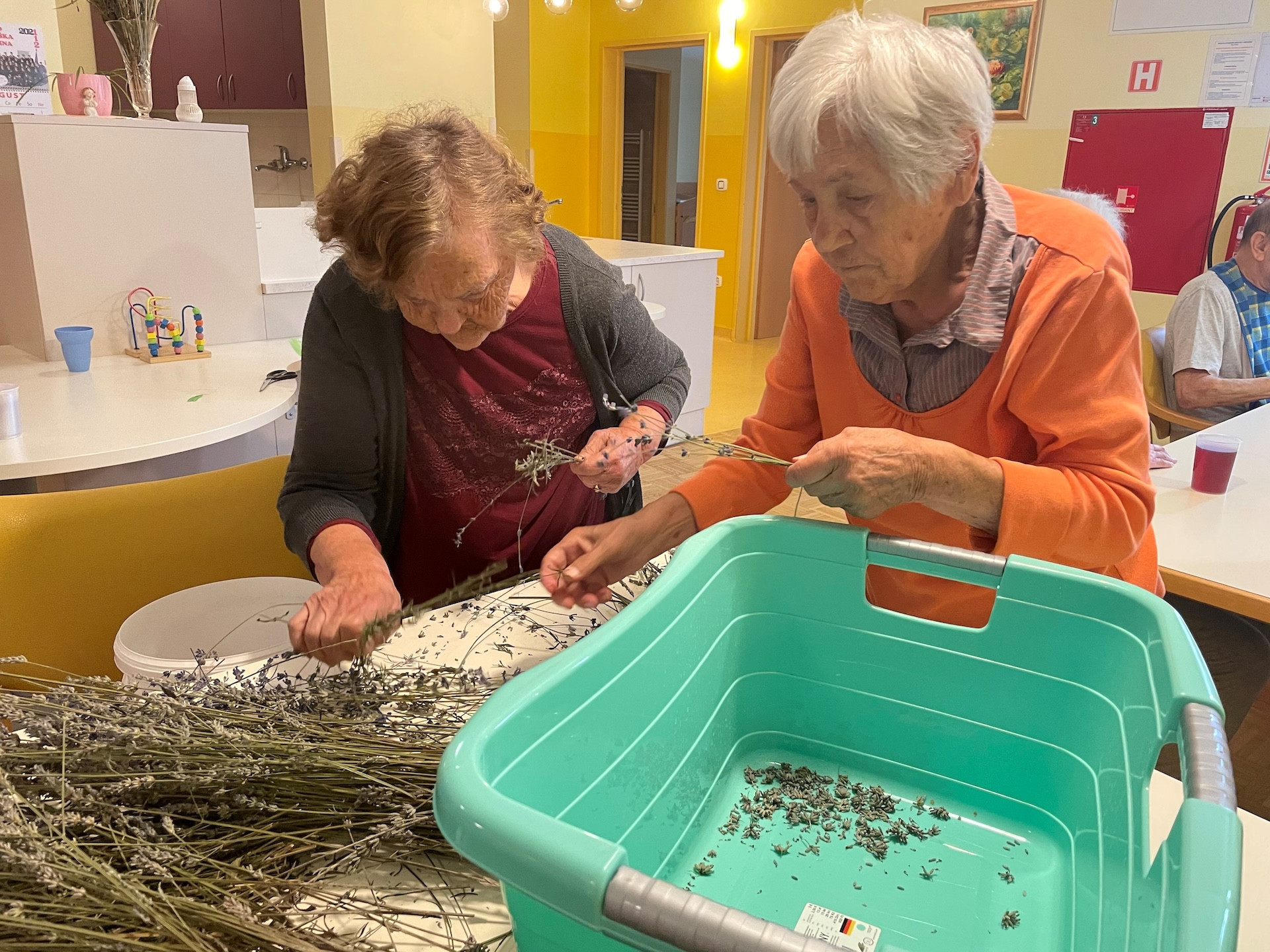 Pri nas ni nikoli dolgčas, vse preproste dni naredimo posebne.. Ta teden smo obrezali sivko in jo obrali, praznovali smo rojstni dan, izdelovali rože. Pri nas je lepo!