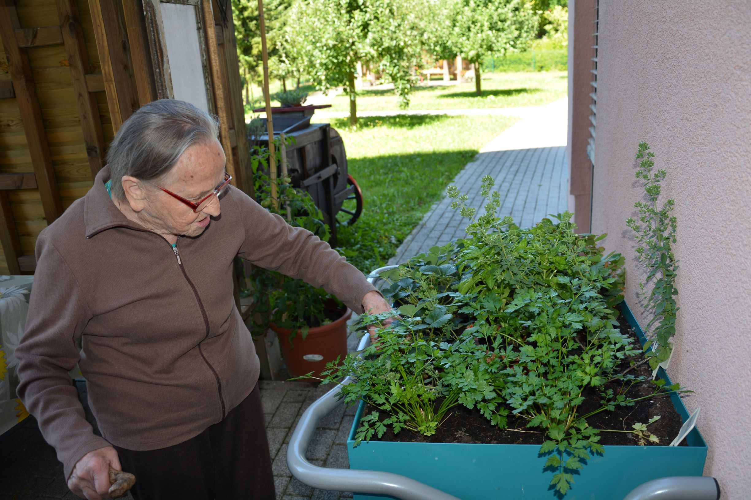 Prostočasne aktivnosti posebnega poletja